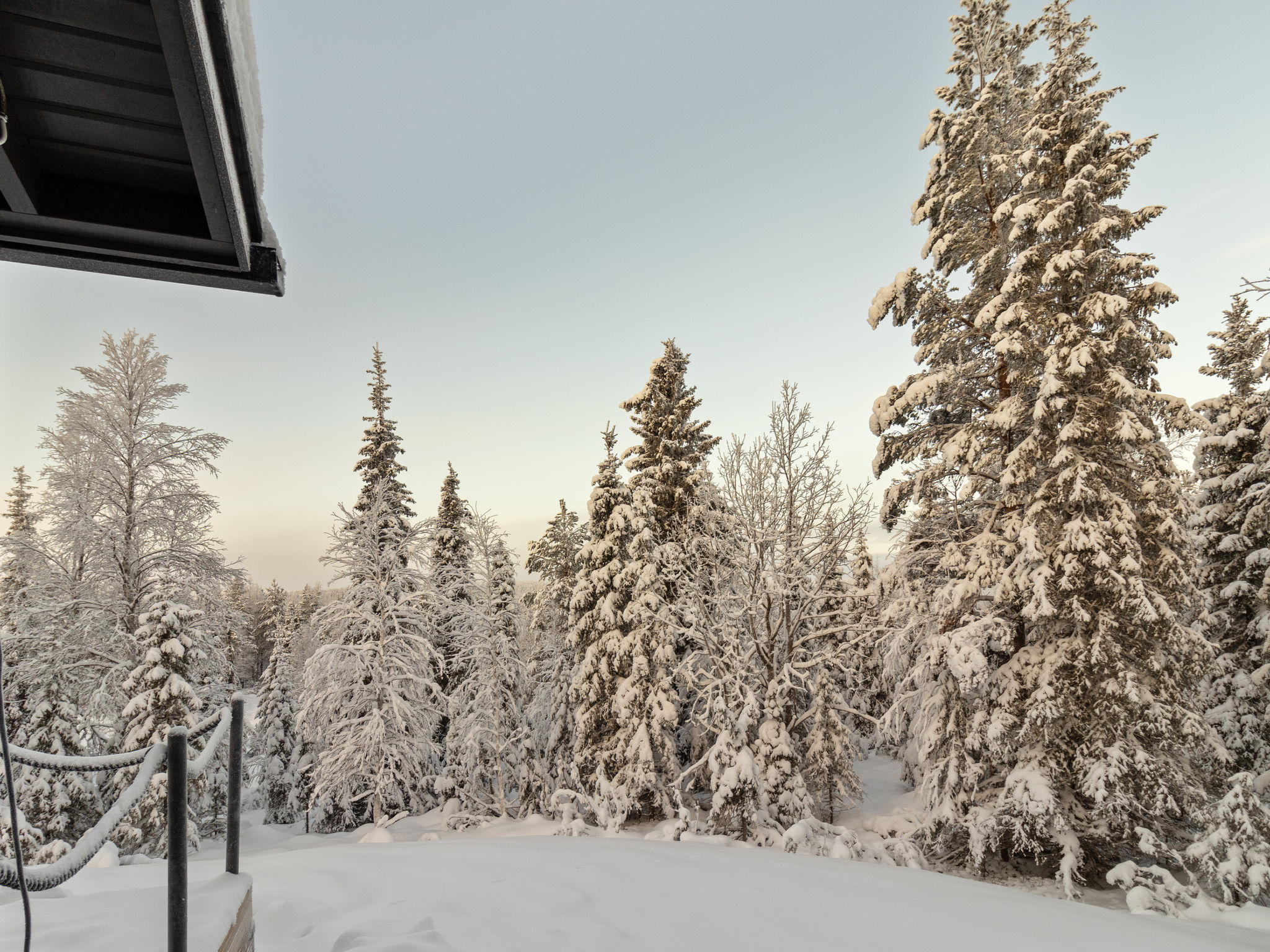 Photo of Koukkupolku 5