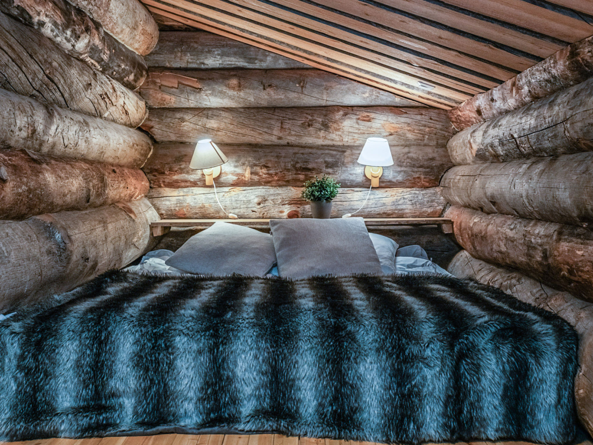 Photo of Tunturin villa pipo