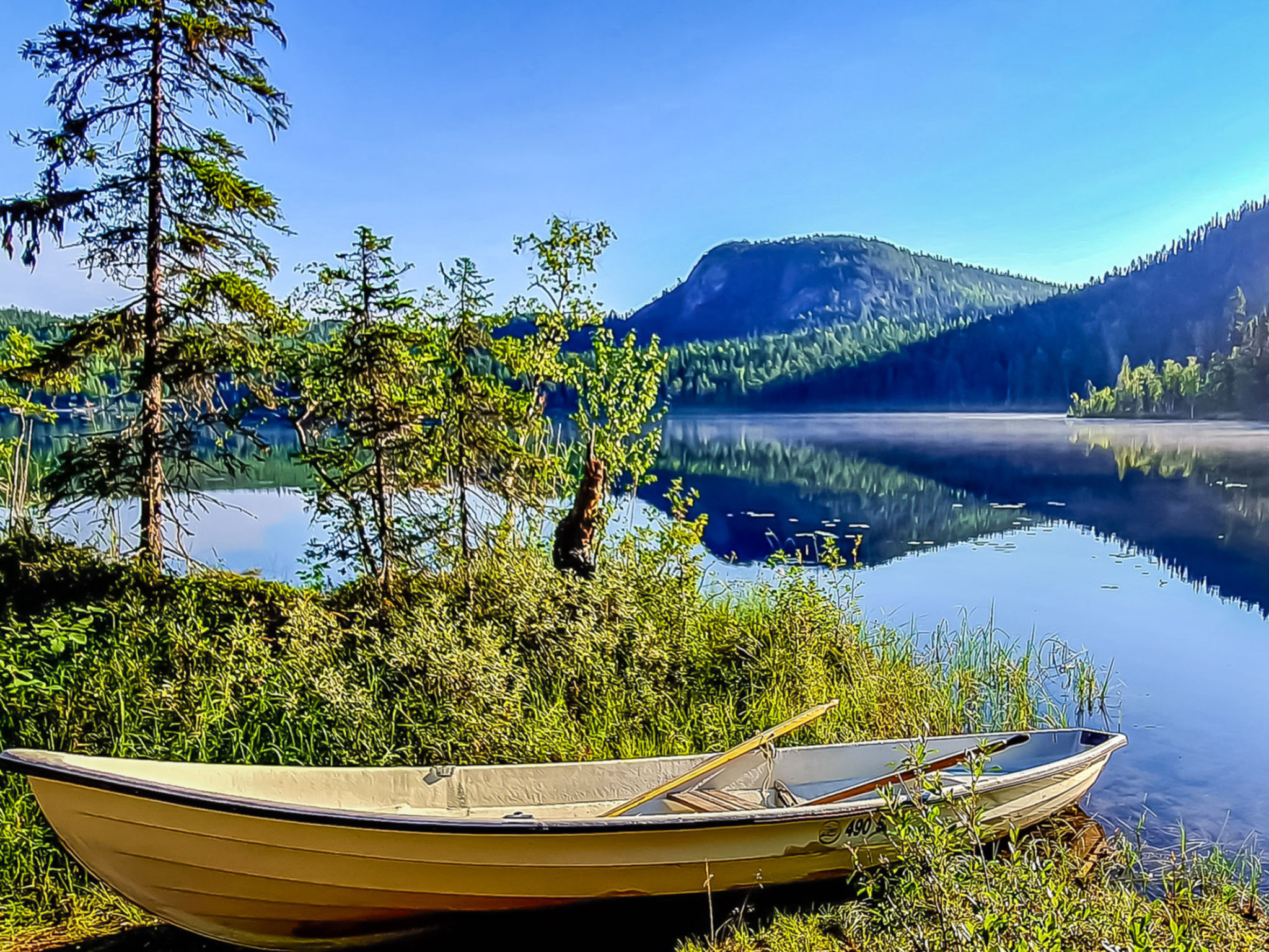 Photo of Ruka sinirinta as. 1