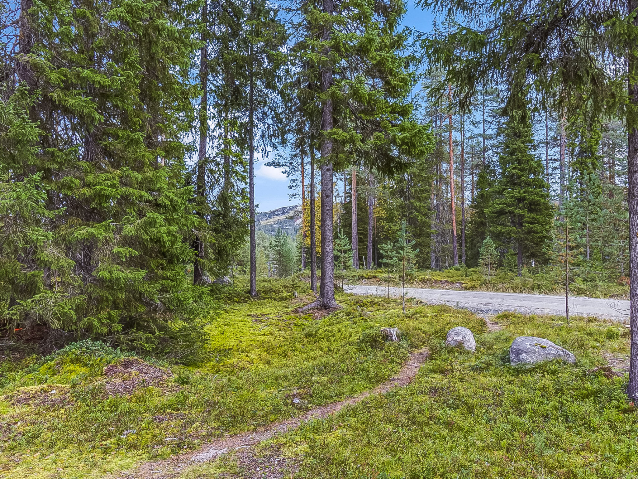 Photo of Kuusi-ruka 6