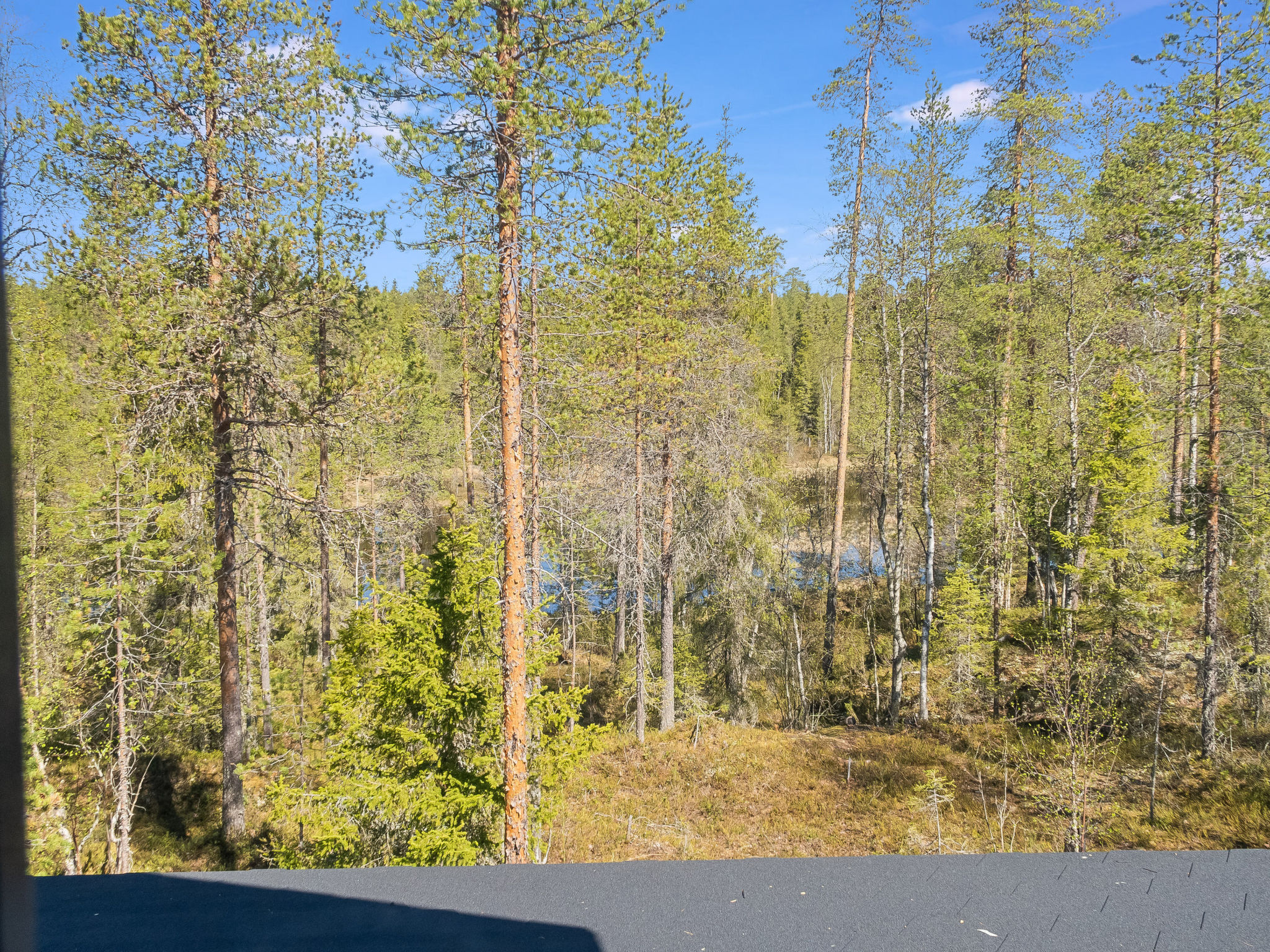 Kiehtäjän lahti - Binnen