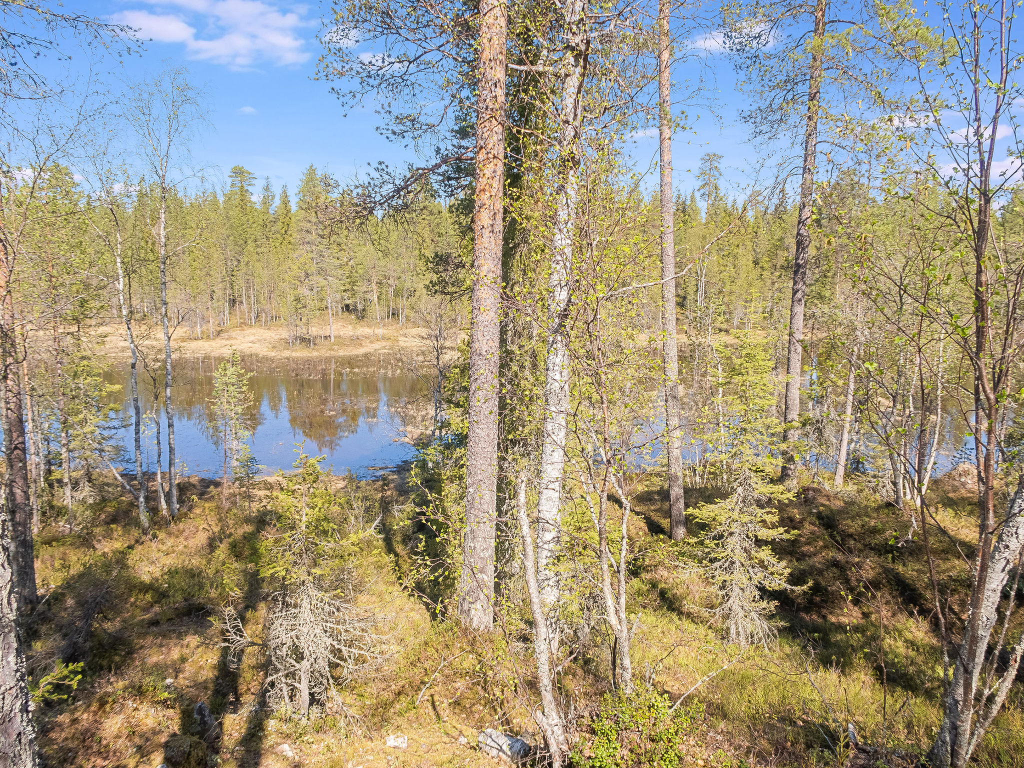 Kiehtäjän lahti