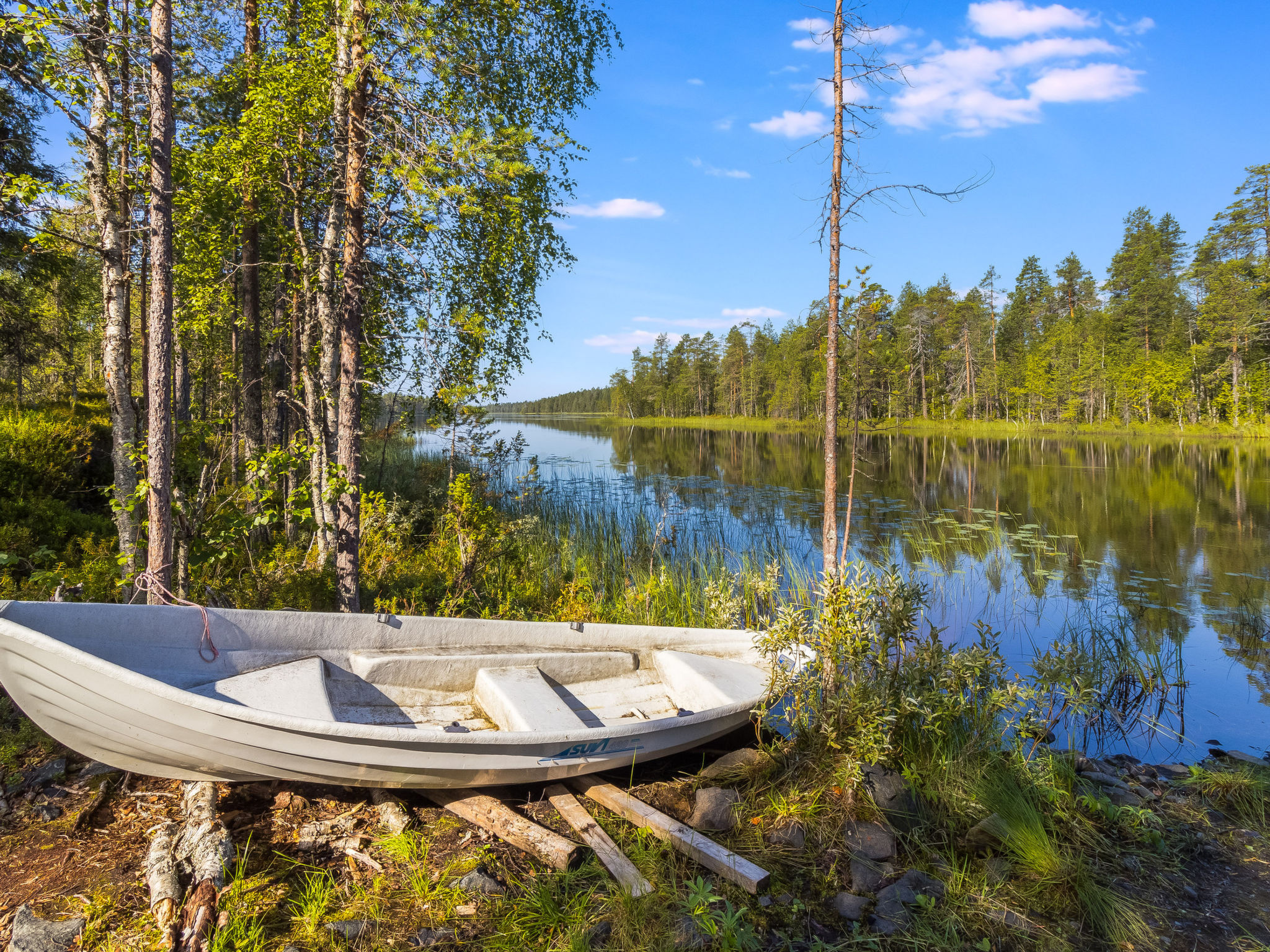 Kiehtäjän kuohu