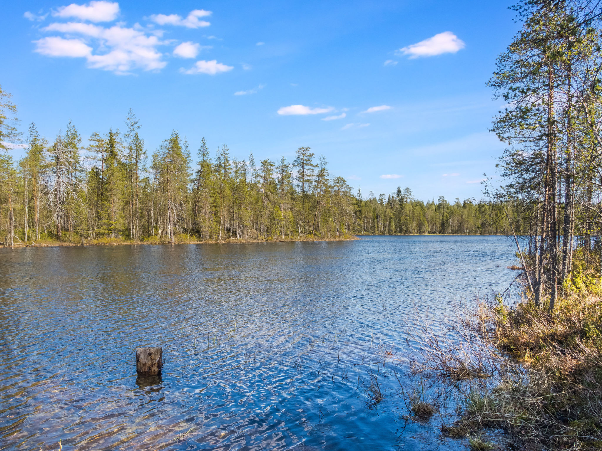 Kiehtäjän kuohu