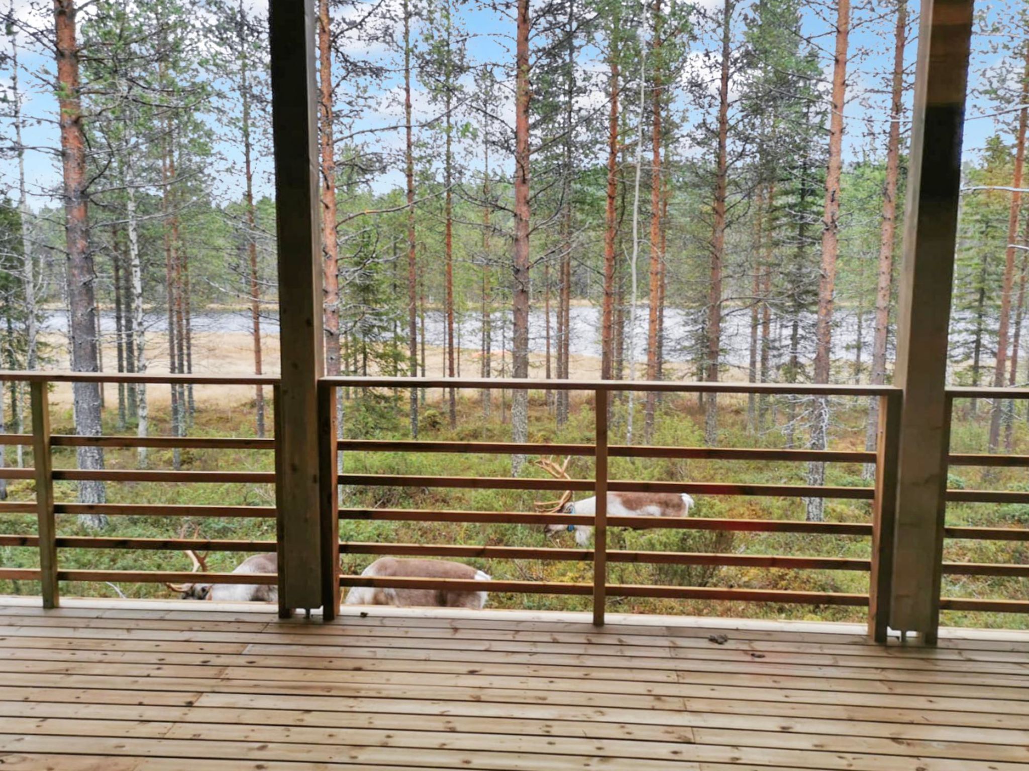 Photo of Villa korpi