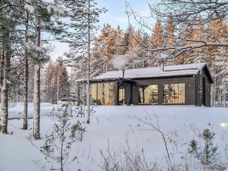 Villa usva
