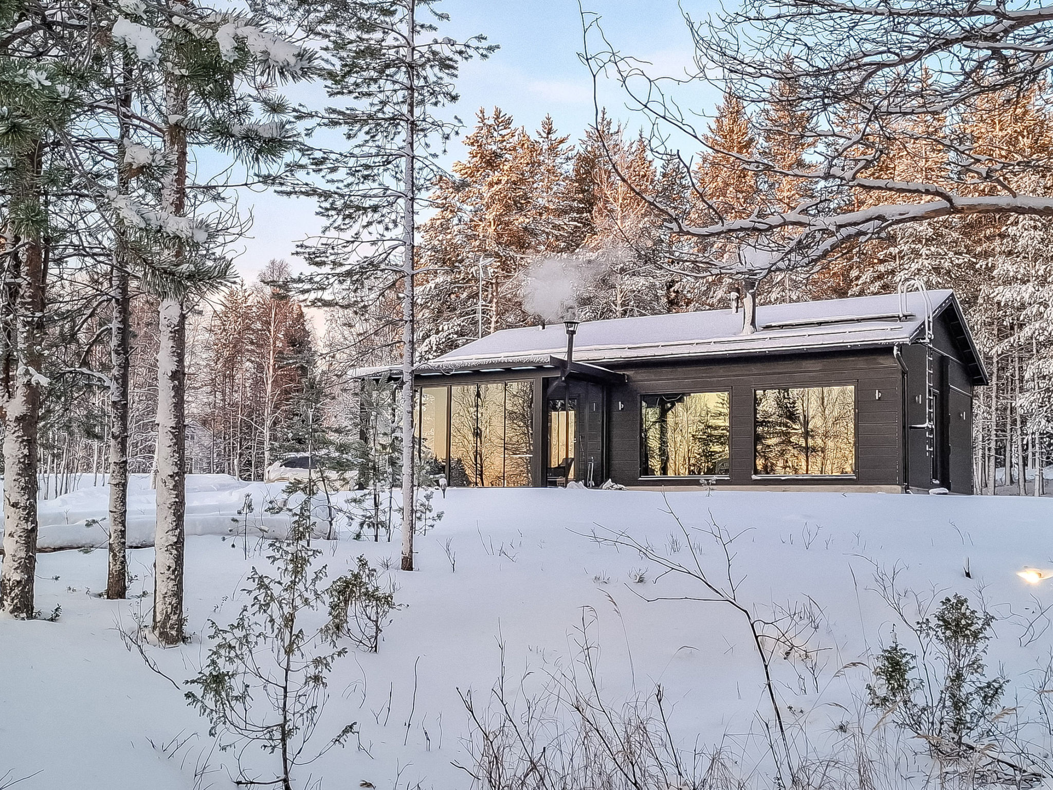 Villa usva