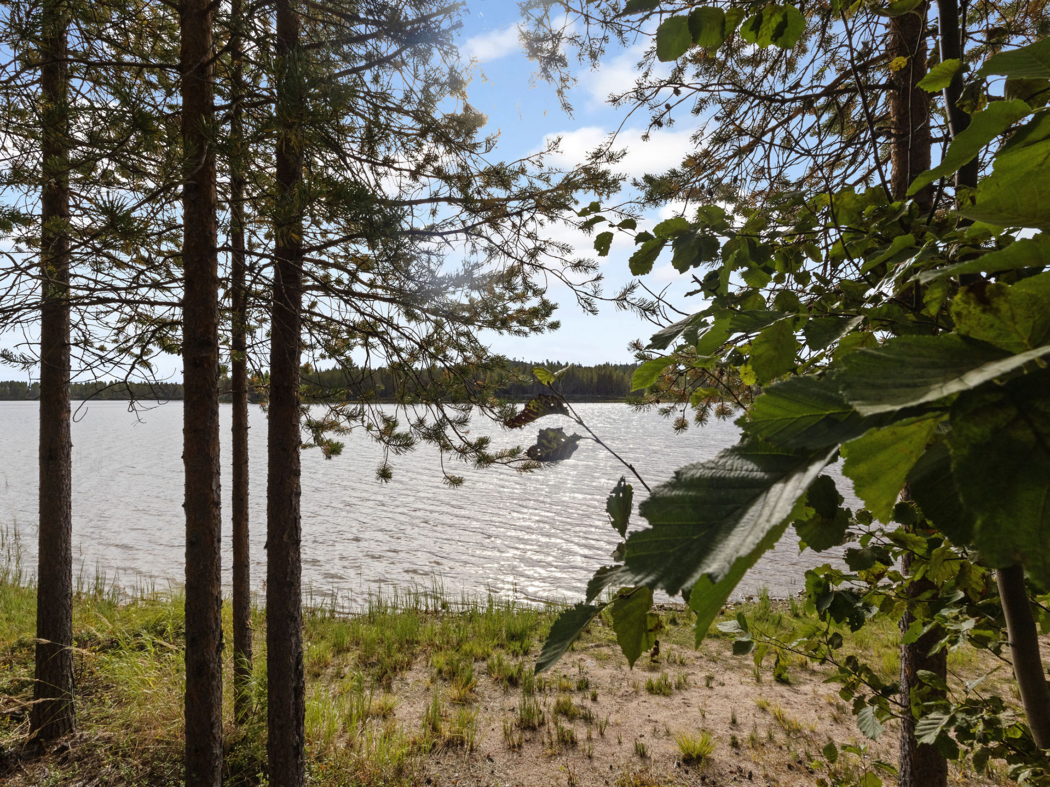 Ahvenmäki b