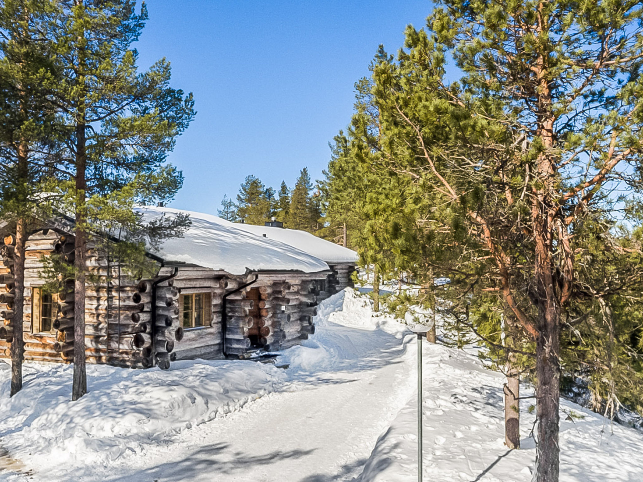 Photo of Rukan kelohuvila