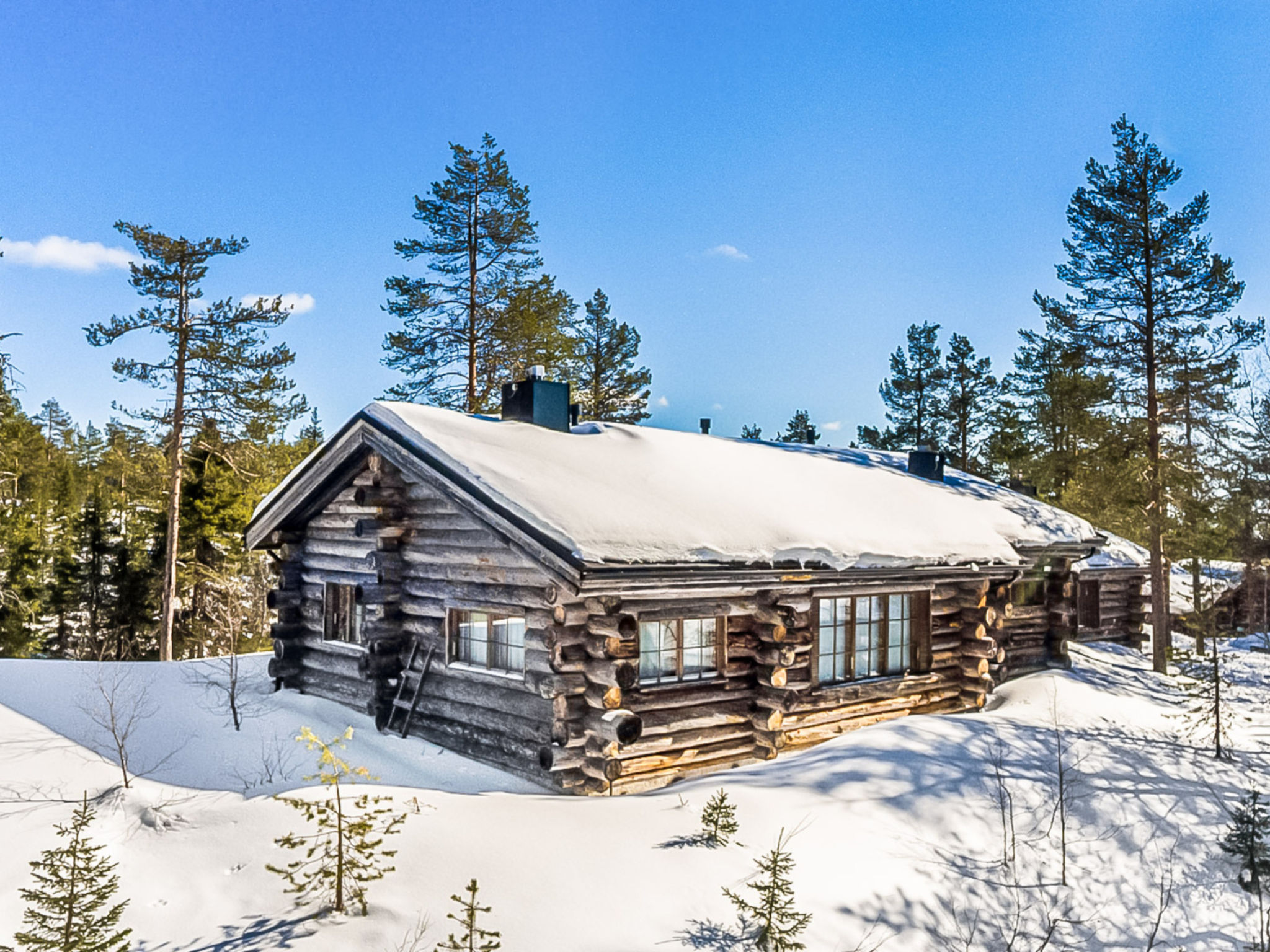 Photo of Rukan kelohuvila