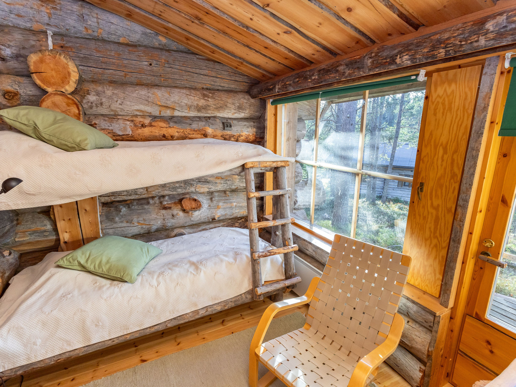 Photo of Rukan kelohuvila