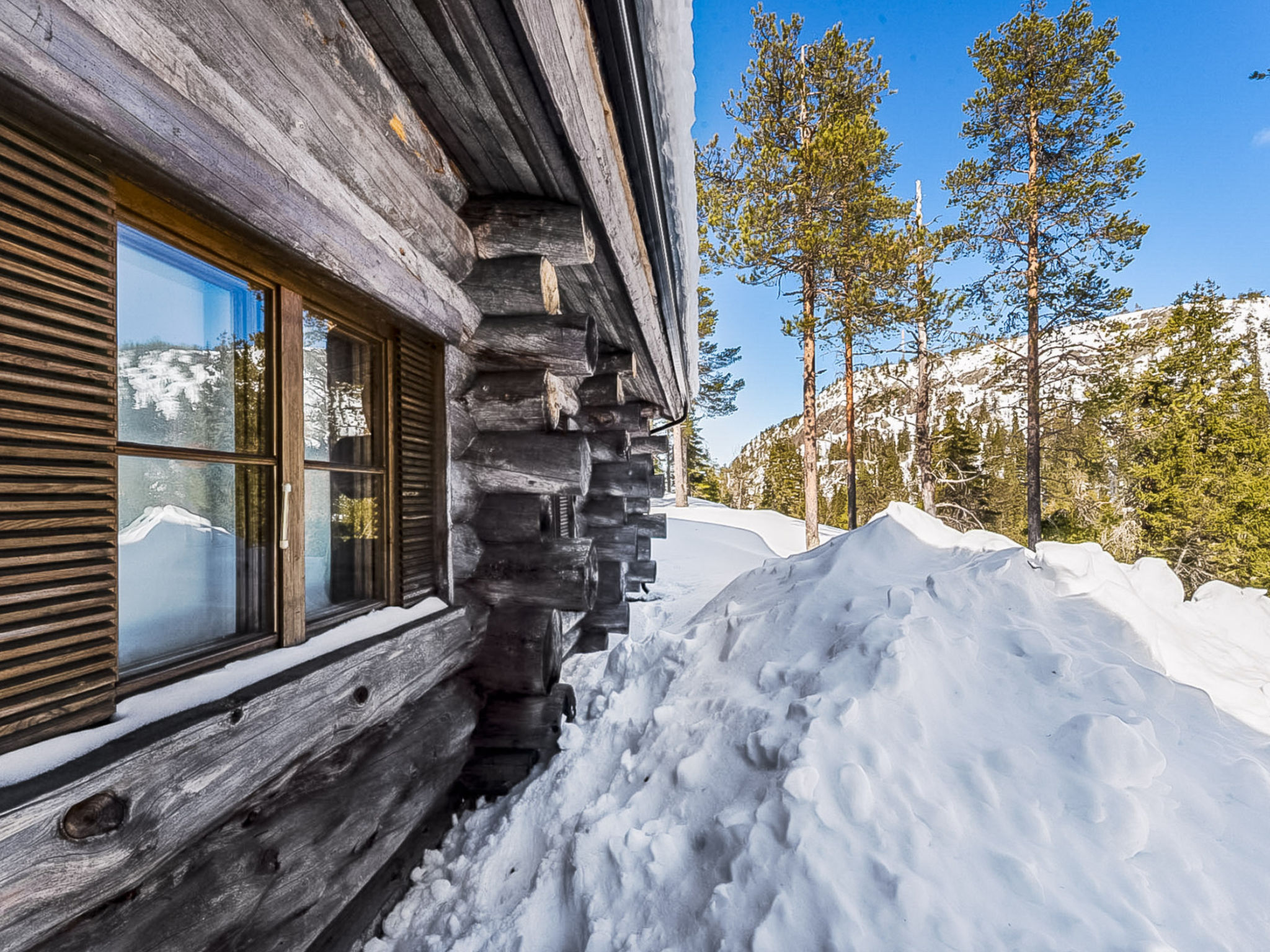 Photo of Rukan kelohuvila