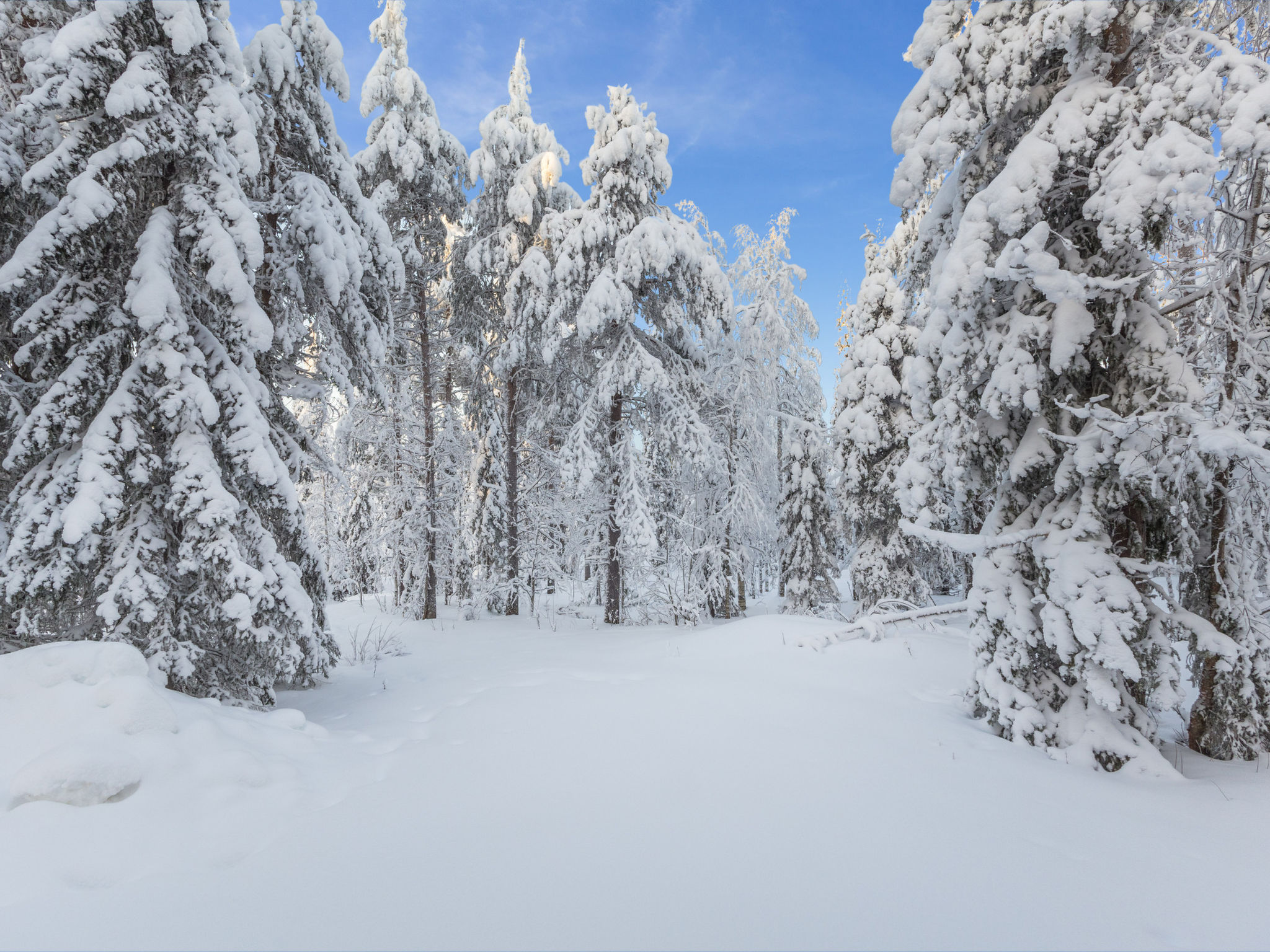 Photo of Katajamäki