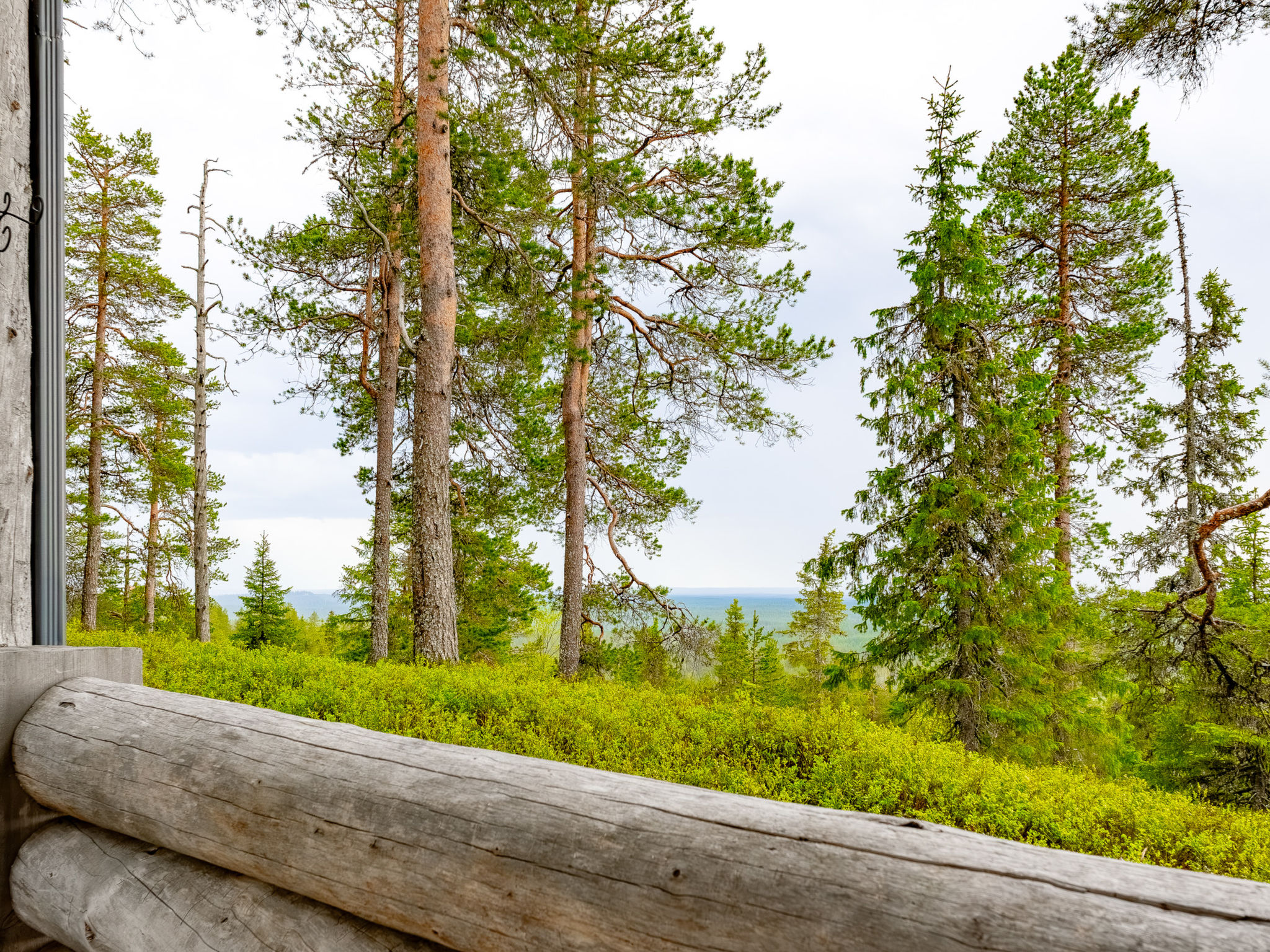 Photo of Rukatunturintie 8 g2