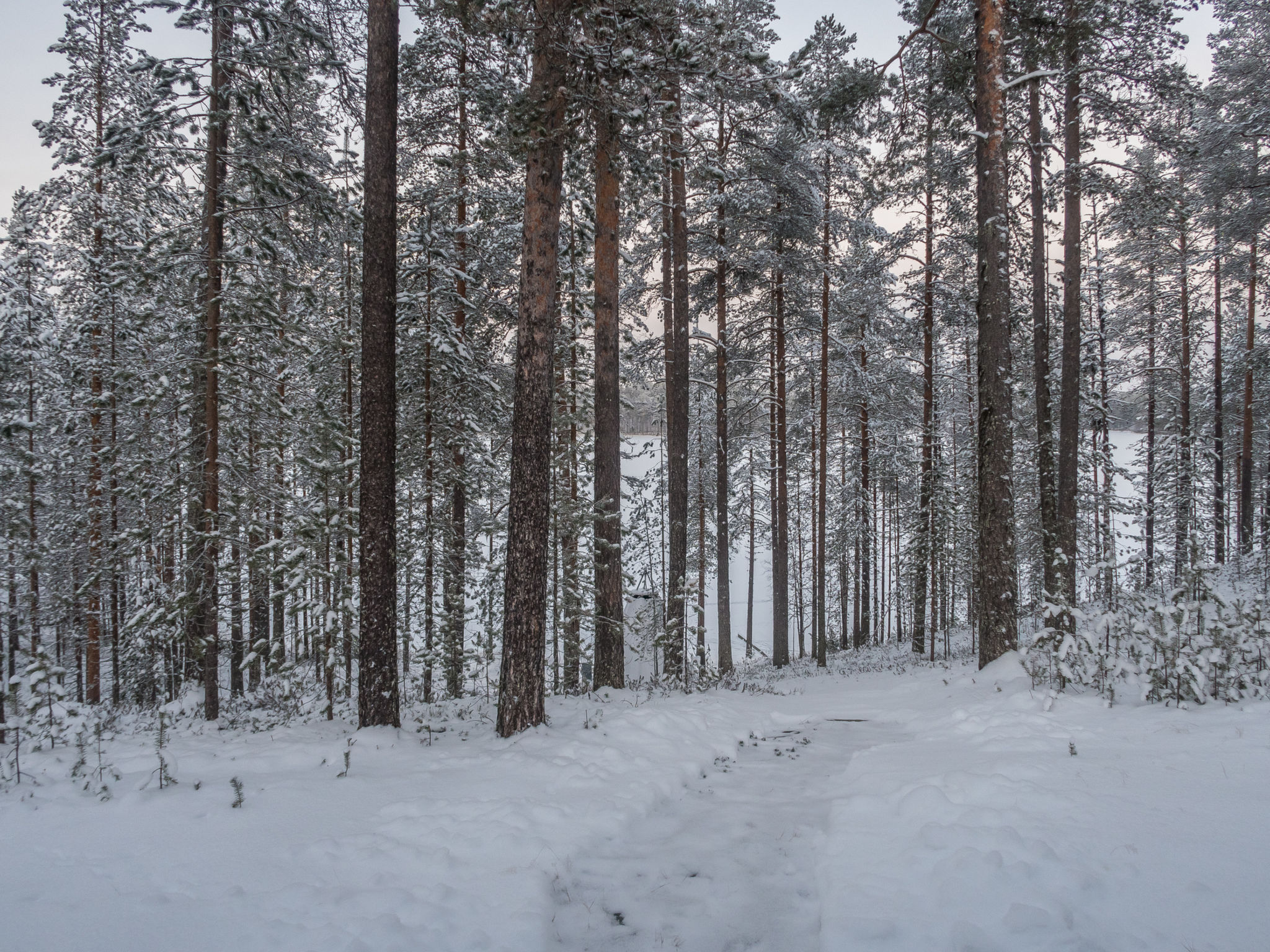 Mäntylä a-osa