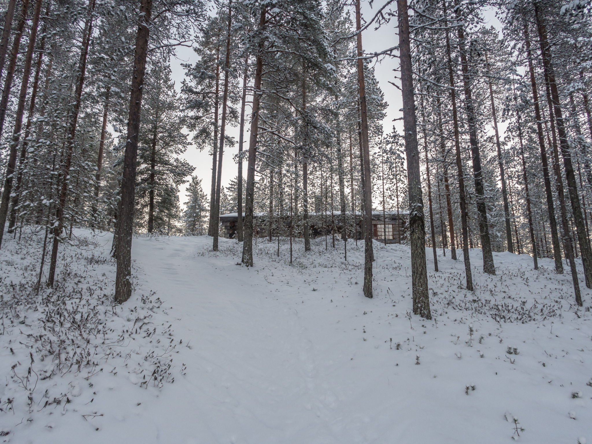 Mäntylä a-osa