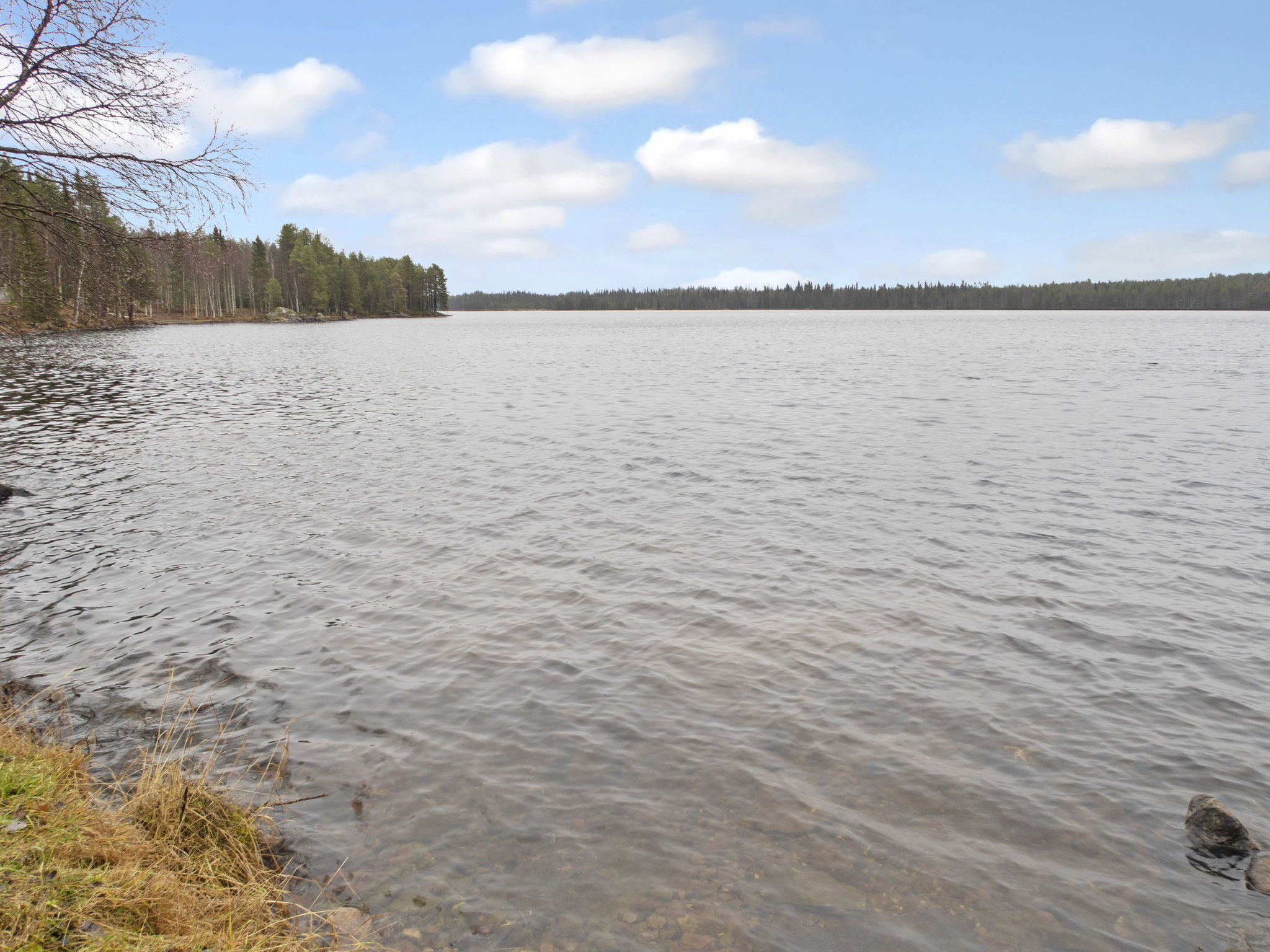 Pesäkolo