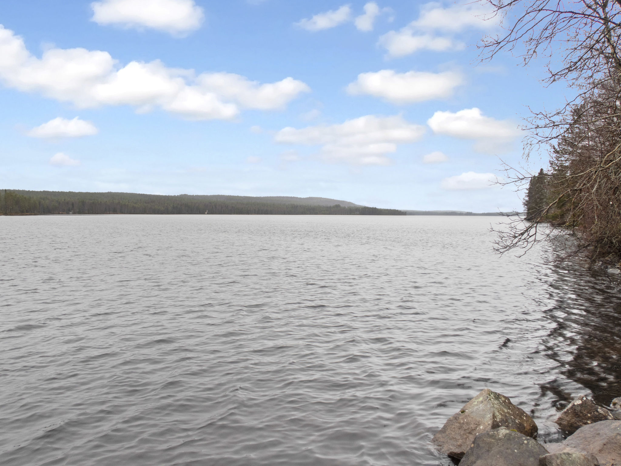 Pesäkolo