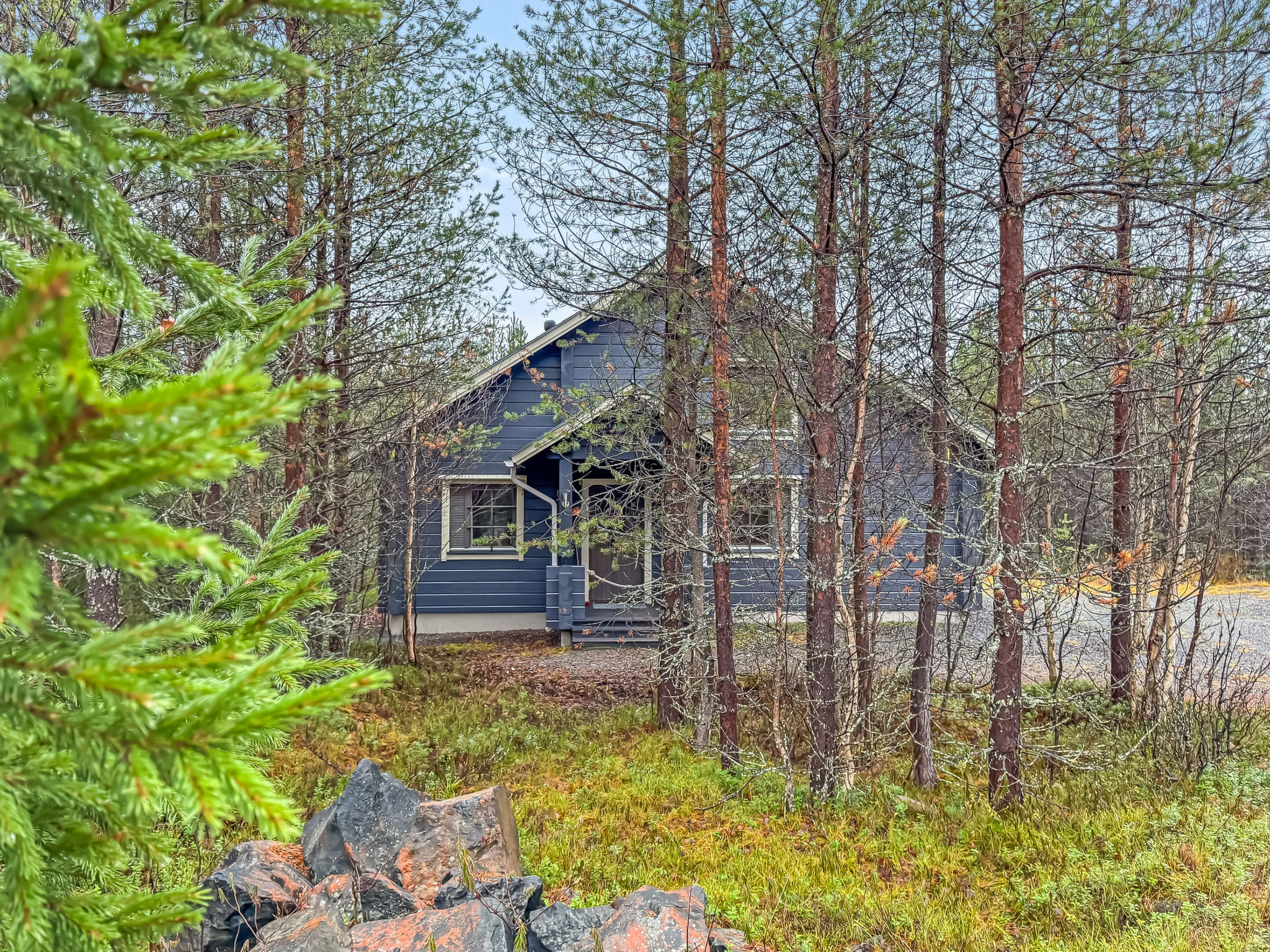 Mäntyrinne
