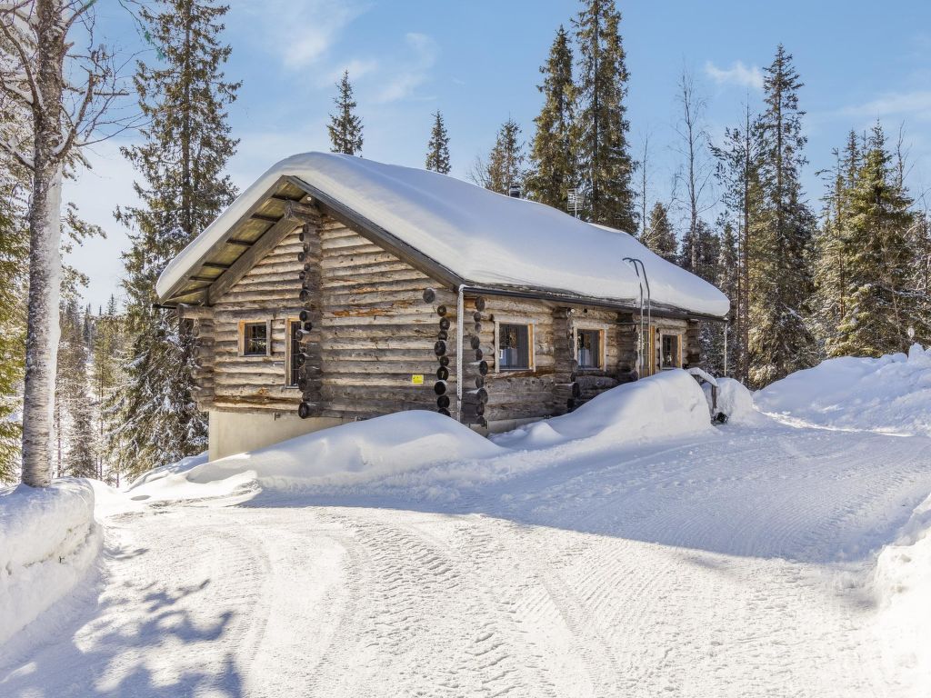 Vakantiehuis Muuttohaukka in Finland