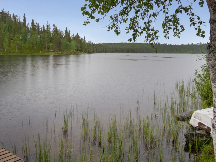 Photo of Muuttohaukka