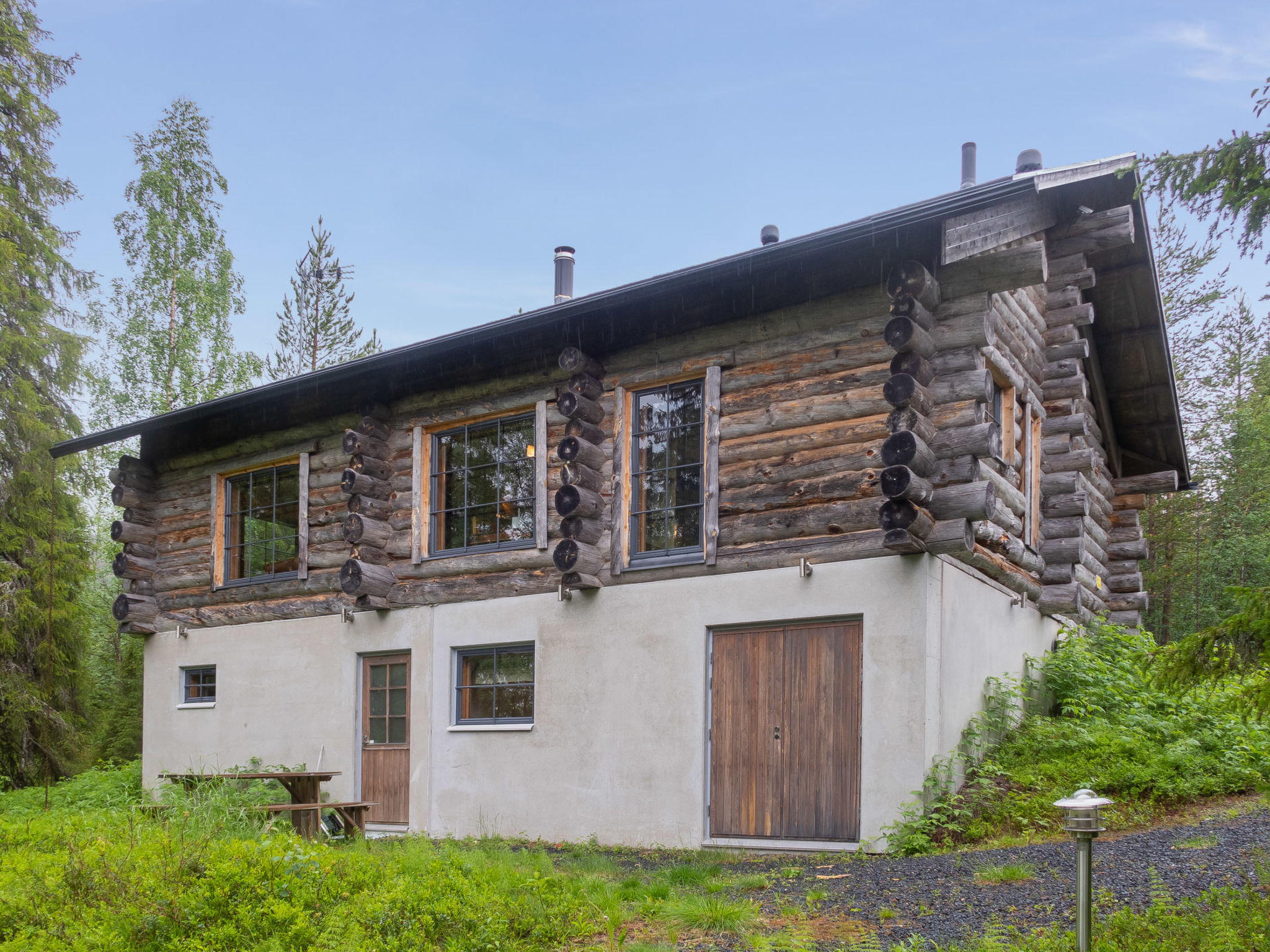 Muuttohaukka - Inside