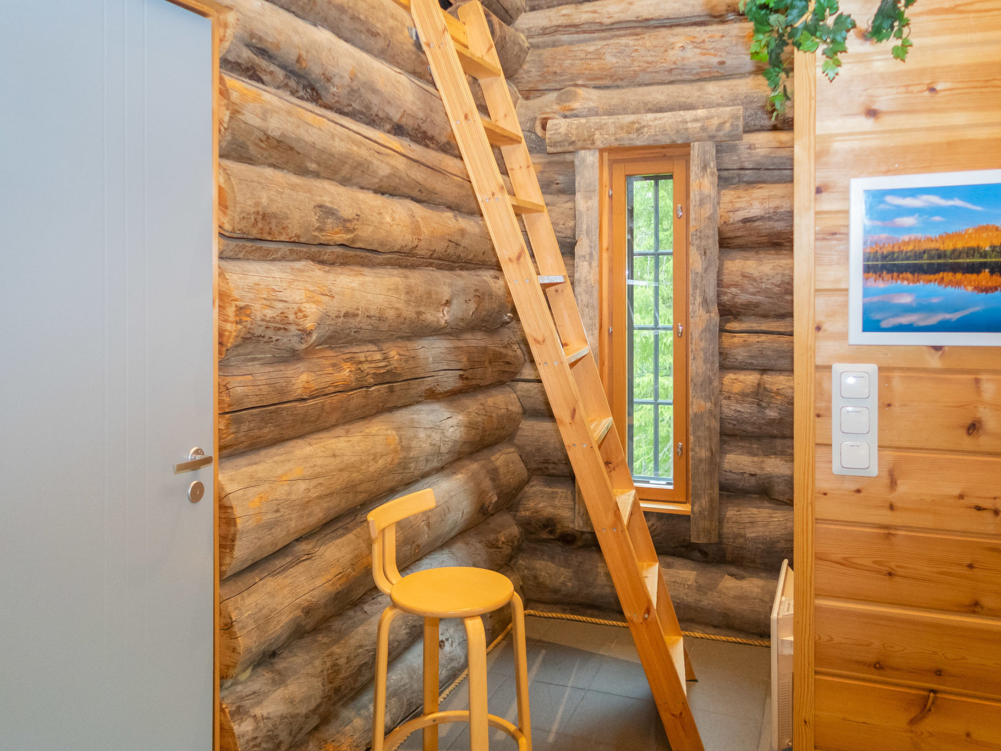 Muuttohaukka - Inside