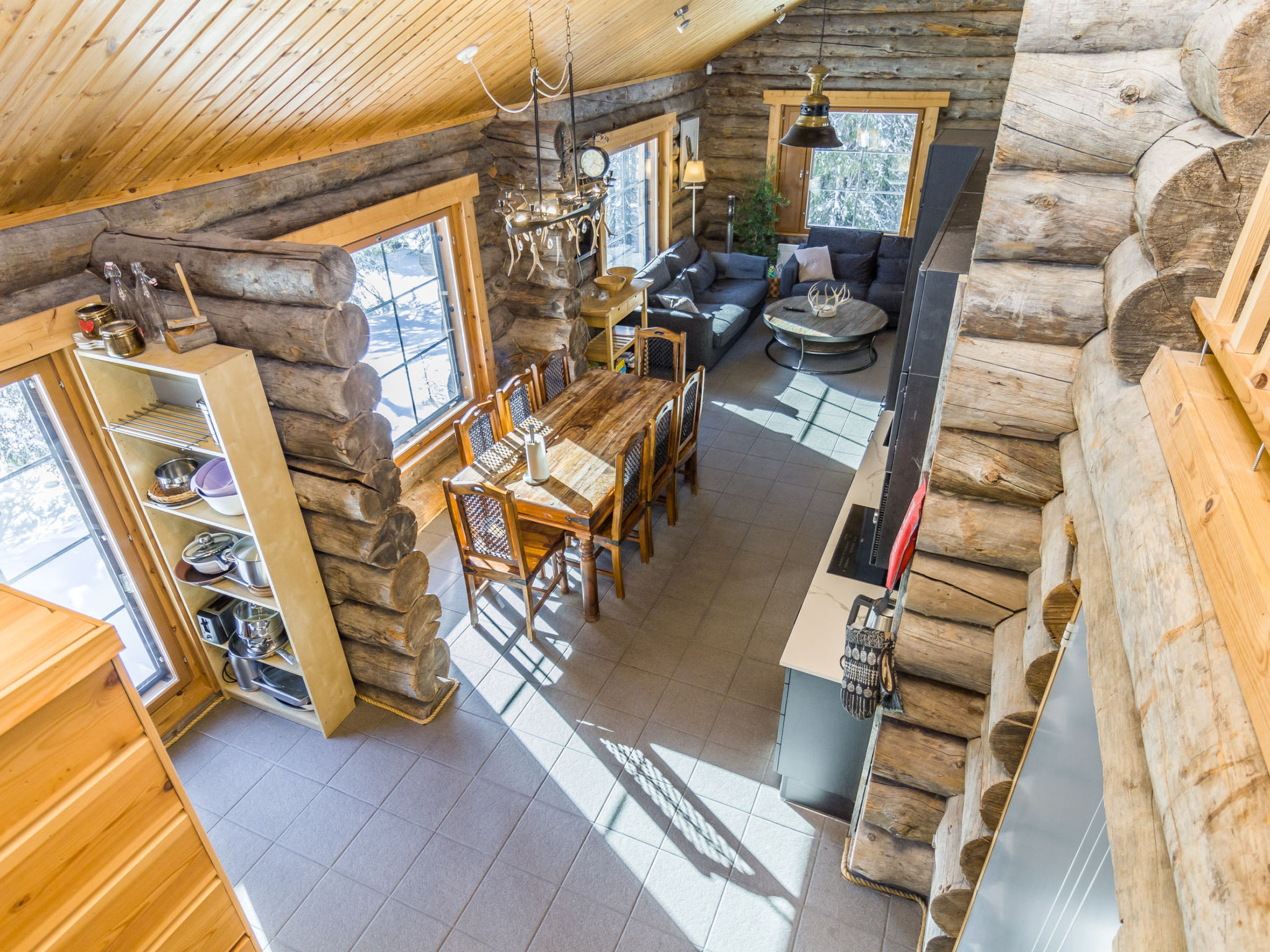 Muuttohaukka - Inside