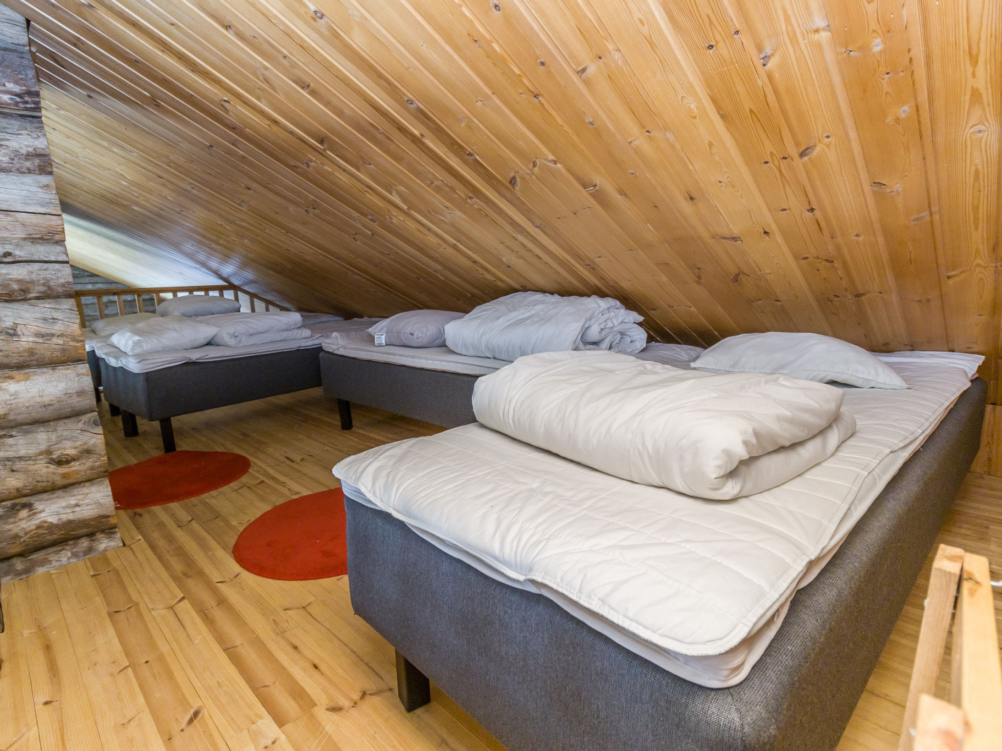Muuttohaukka - Inside