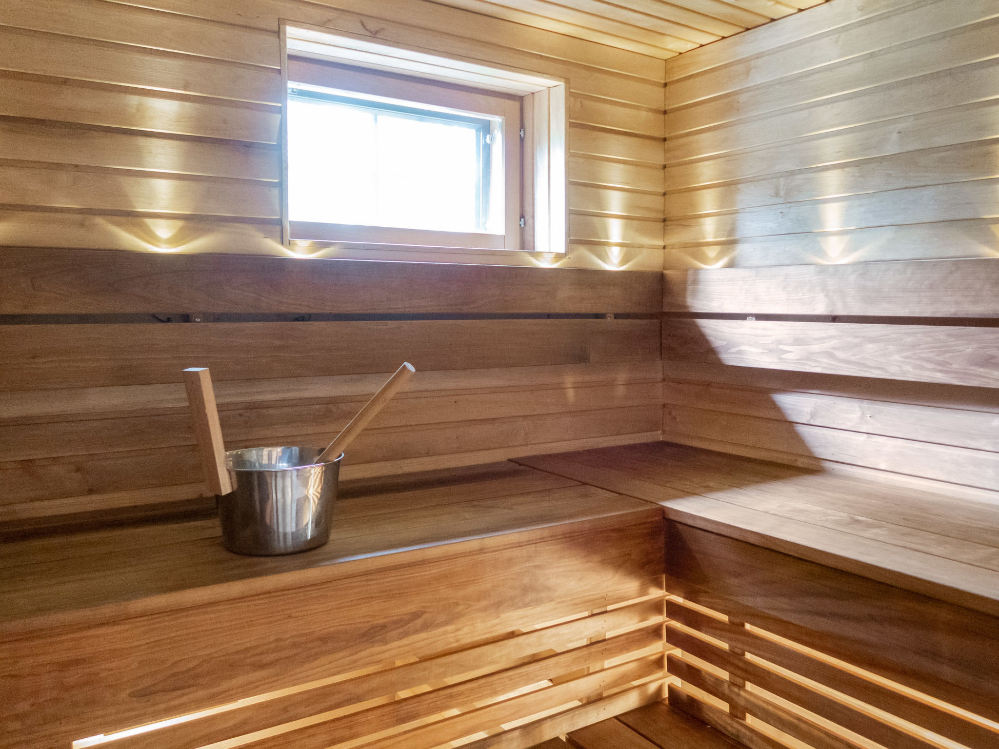 Muuttohaukka - Inside