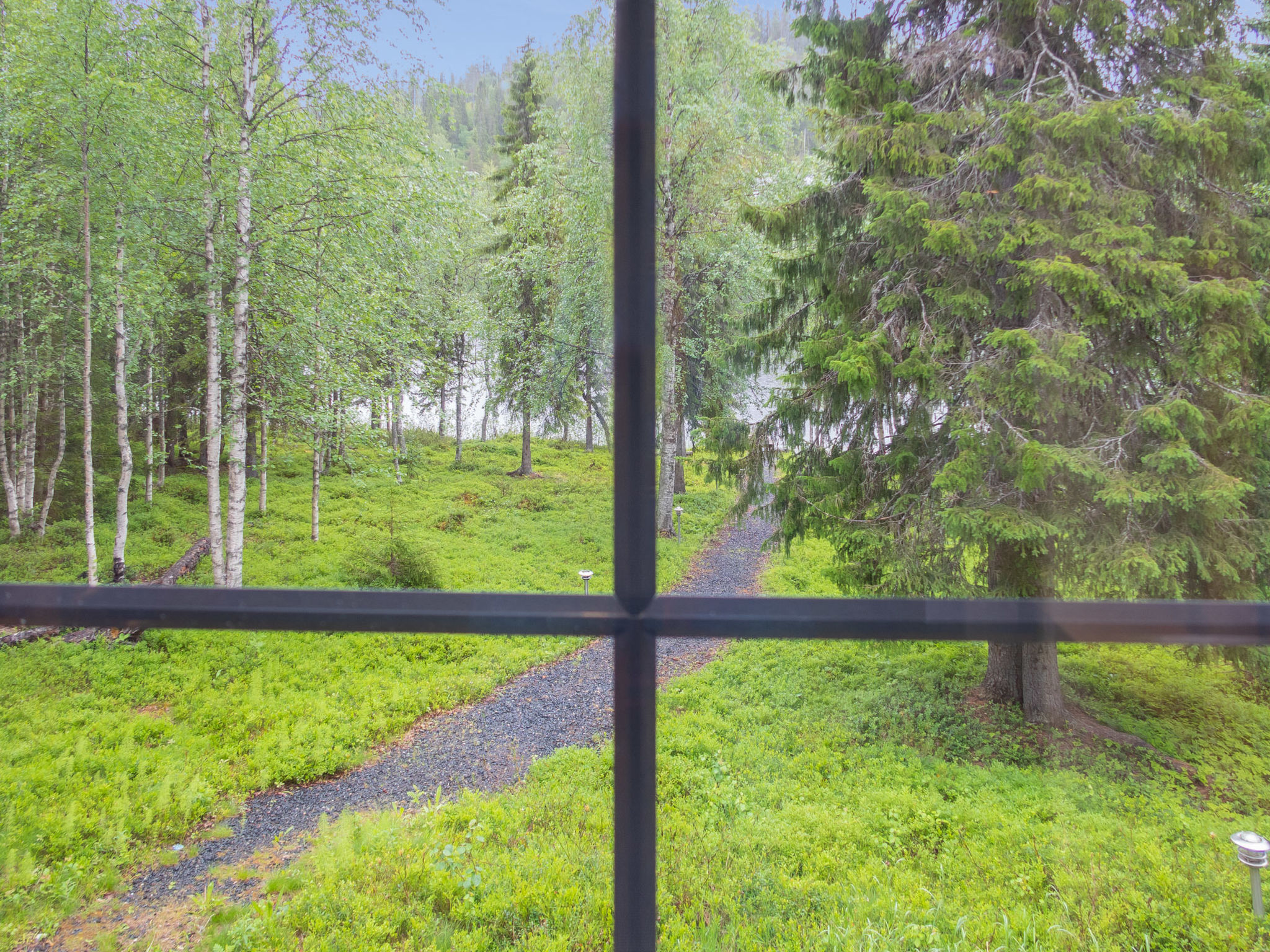 Muuttohaukka - Inside