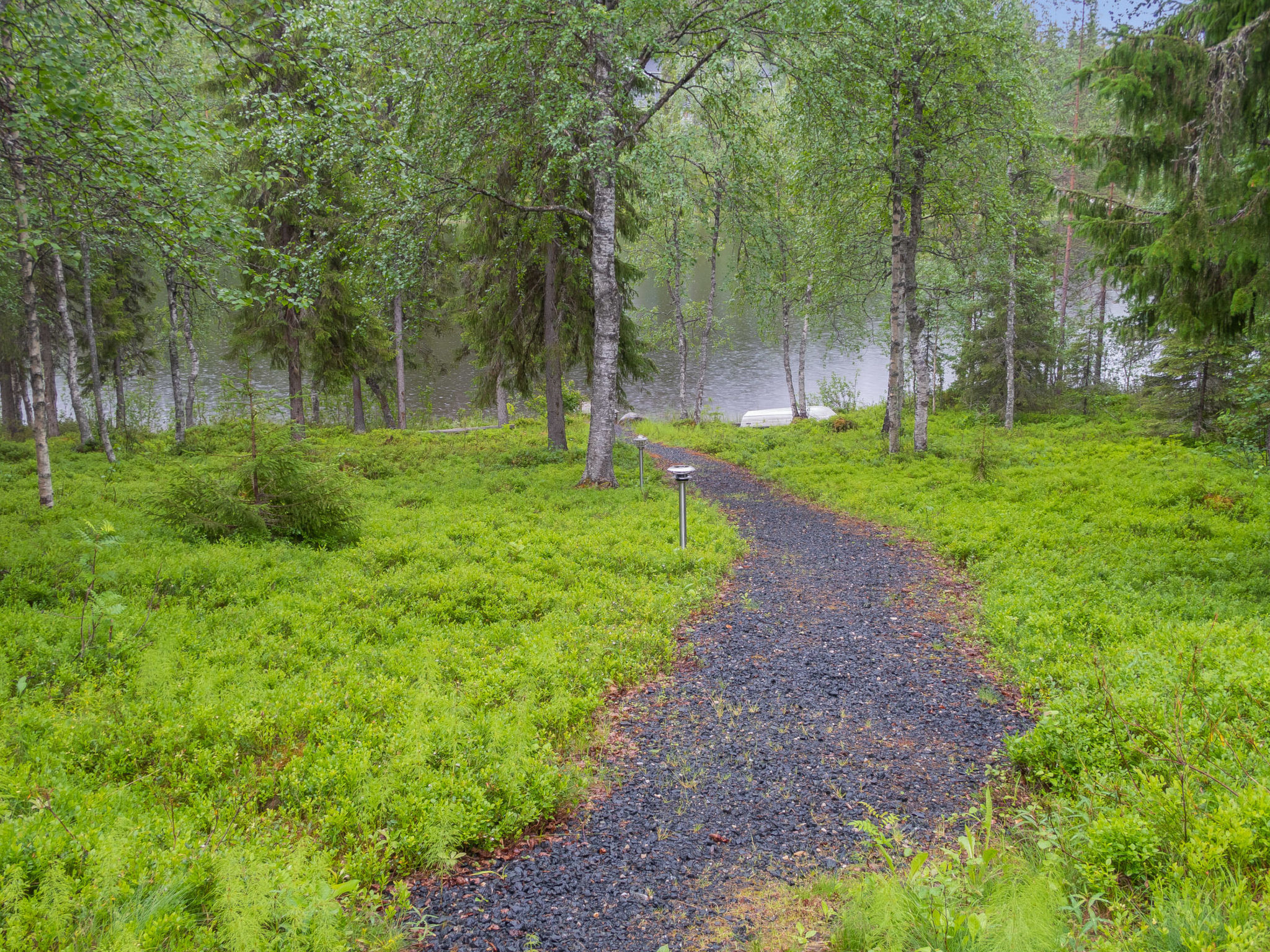 Muuttohaukka - Inside