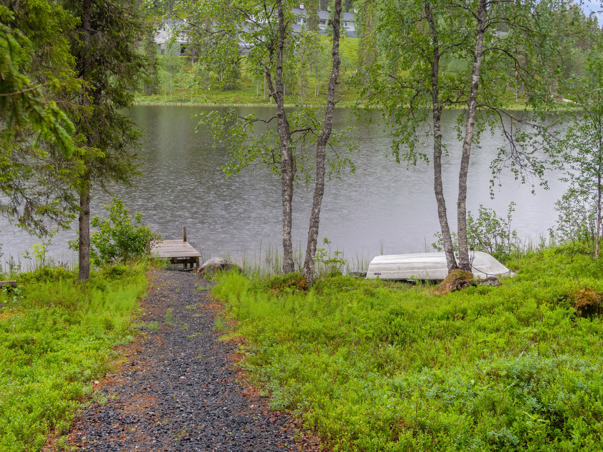 Muuttohaukka - Inside