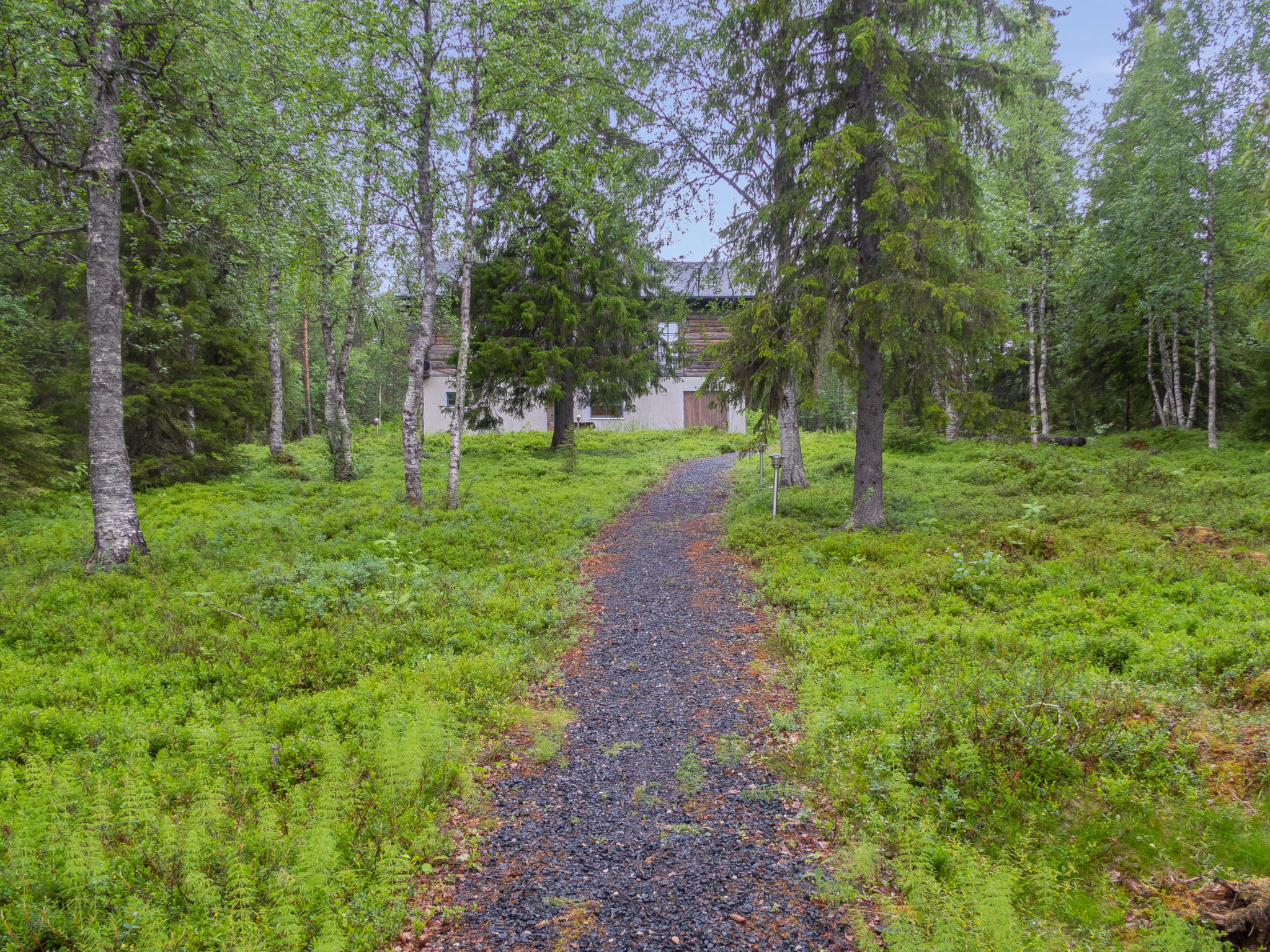 Muuttohaukka - Inside