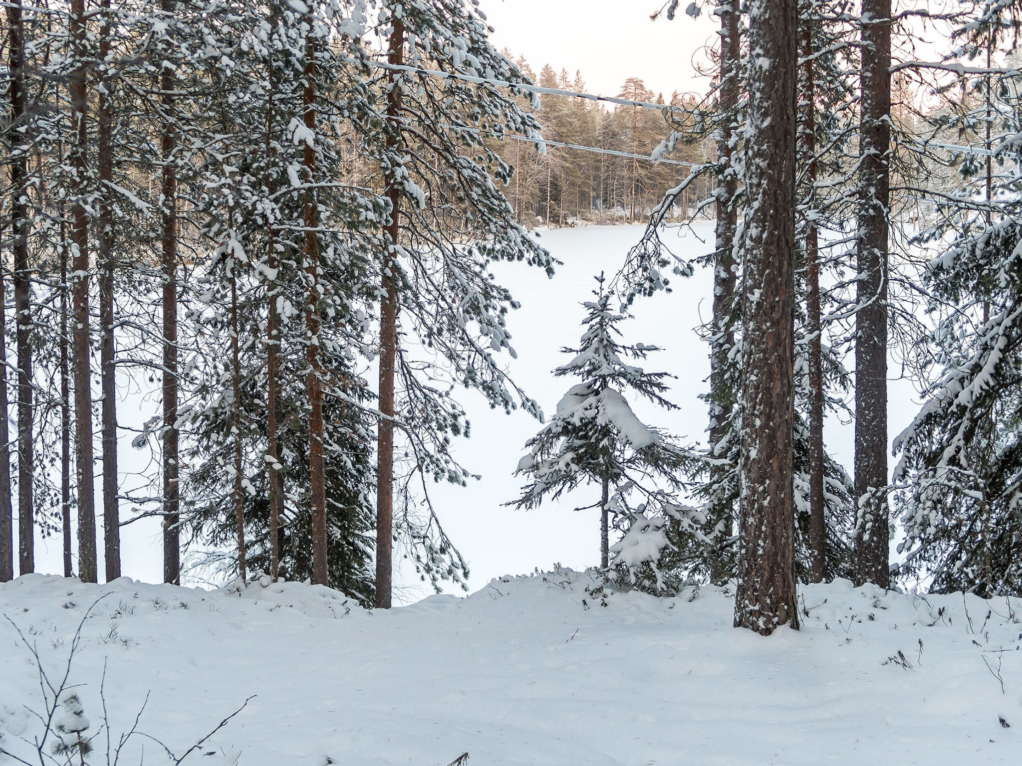 Viipusjärvi 11