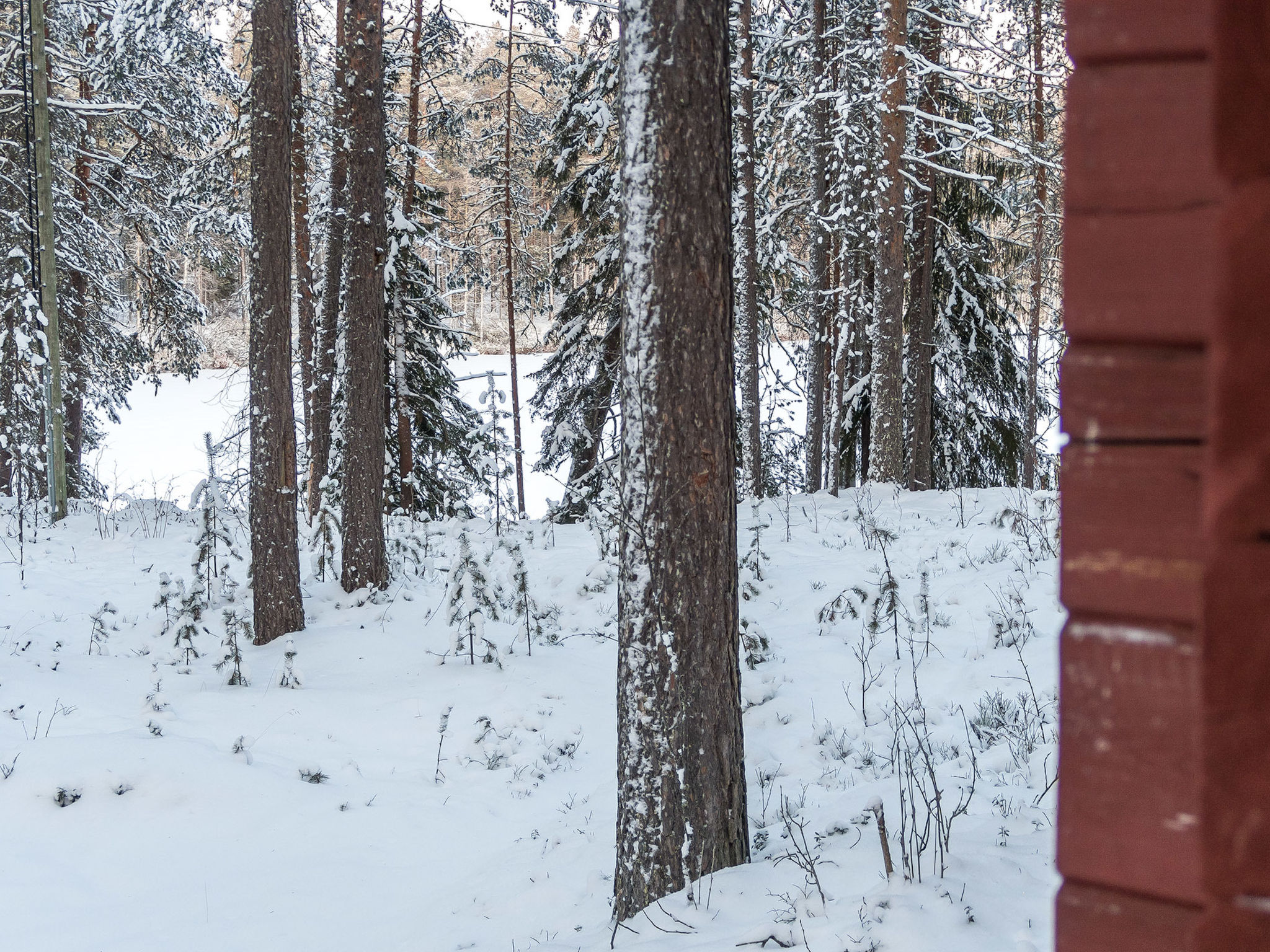 Photo of Viipusjärvi 11