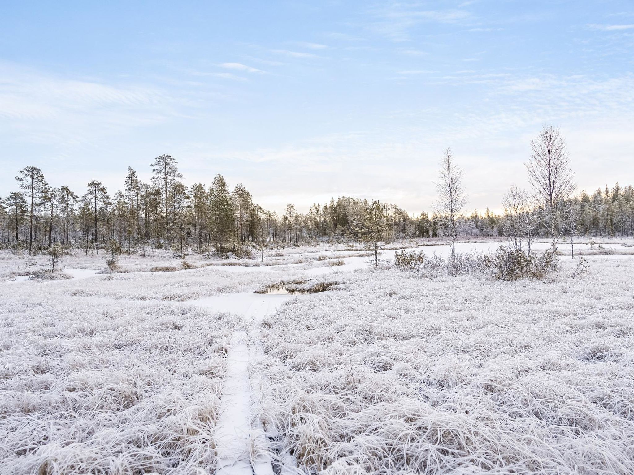 Photo of Pajalan honka