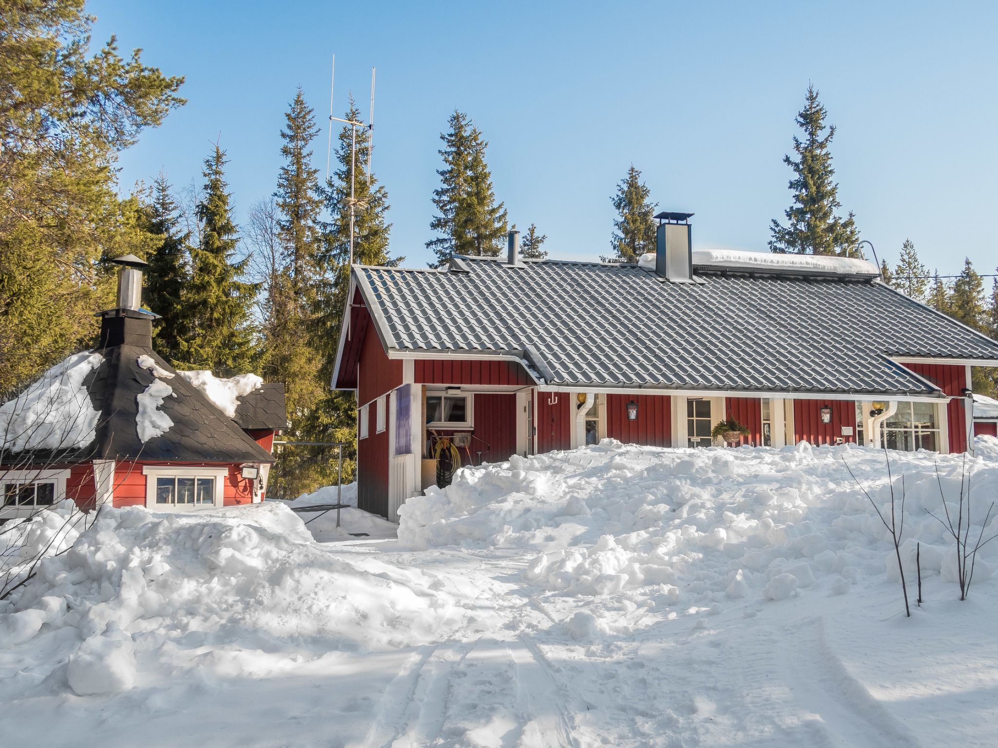Peukaloinen b1