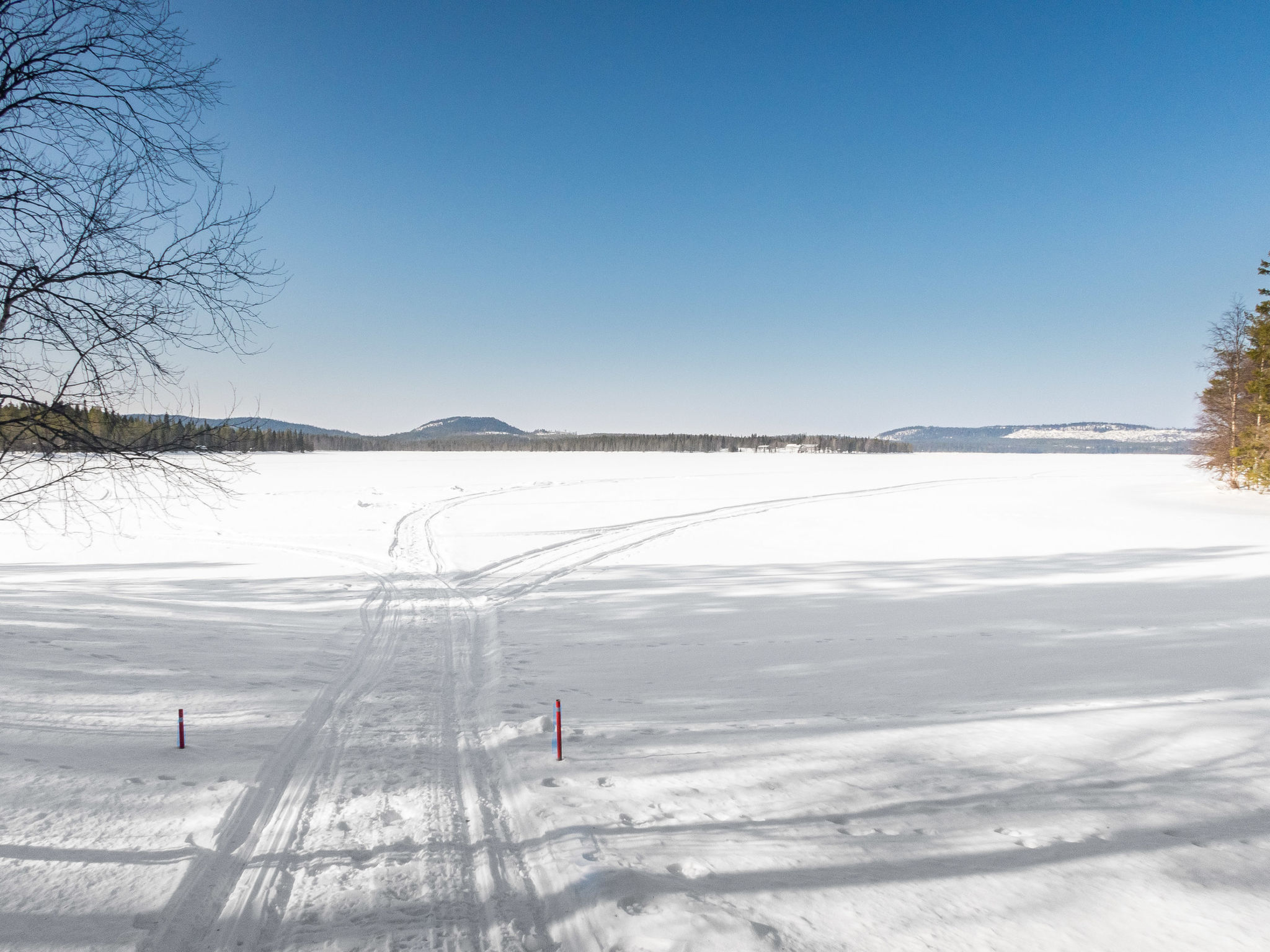 Peukaloinen b1