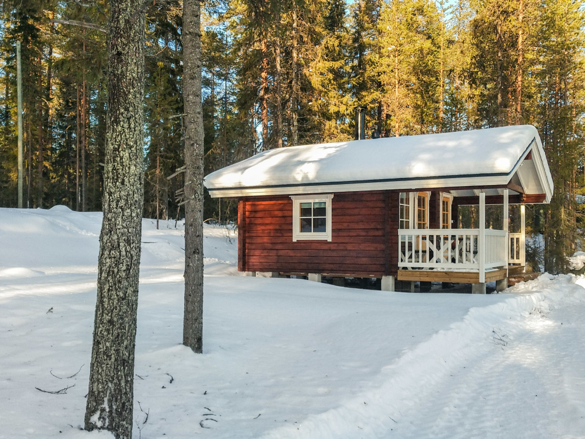 Ylikitkajärvi, kesäkumpu