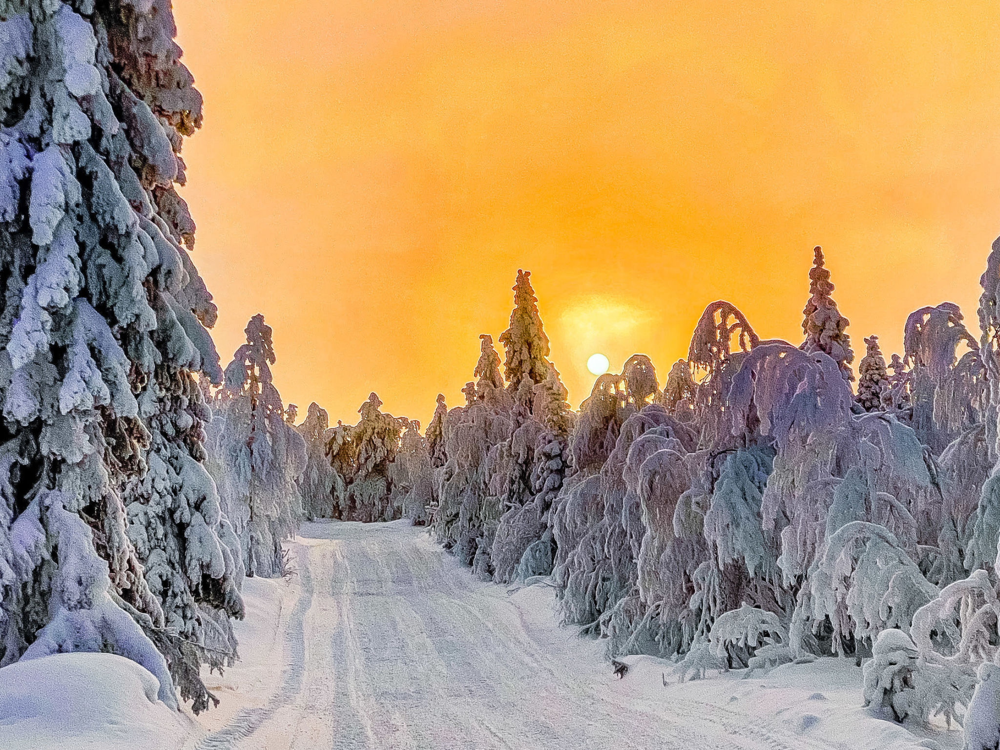 Photo of Alte ruka