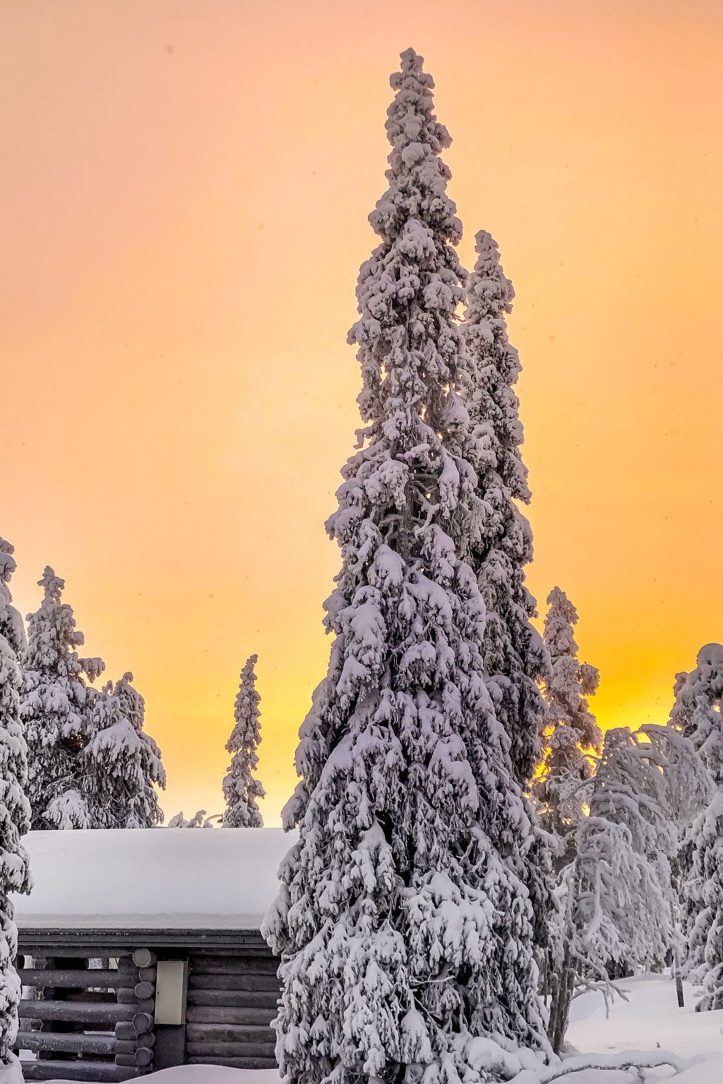 Photo of Alte ruka