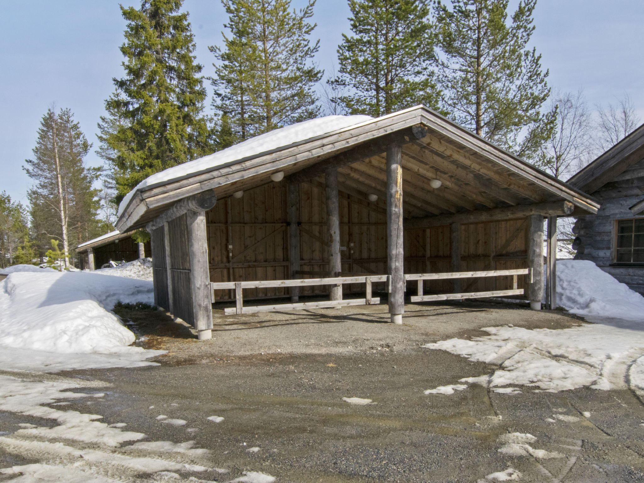 Saaruantupa
