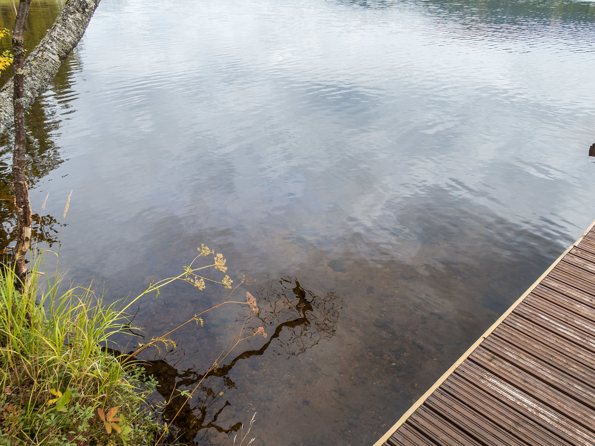 Rukatörmä, kesäjärvi