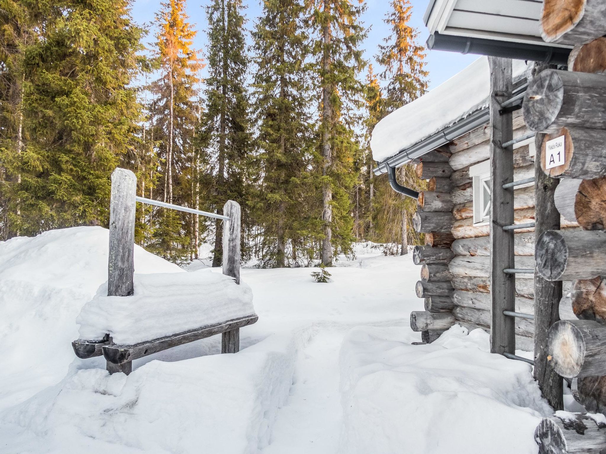 Photo of Ykkösruka 3, 3b