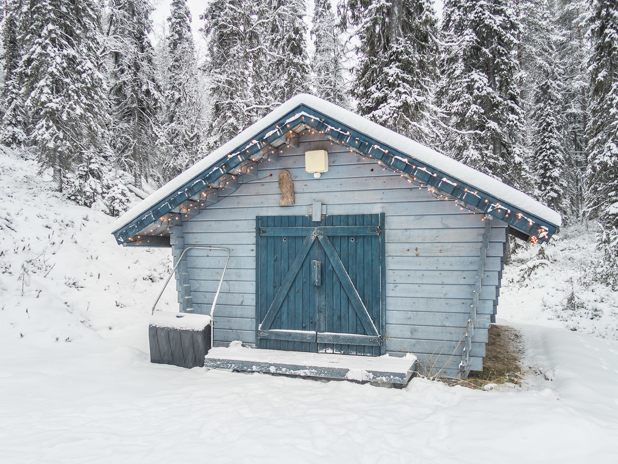 Pöllölaakso - Dedans