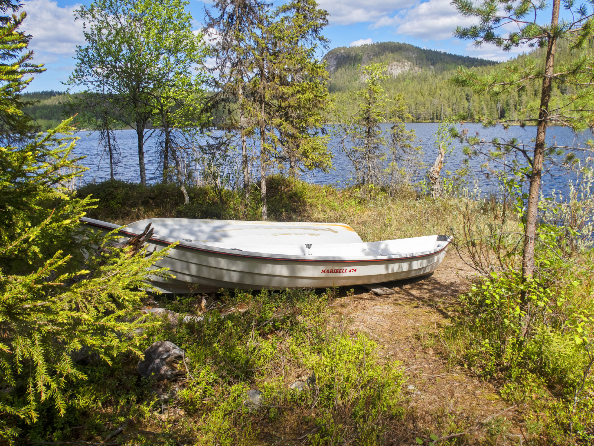 Pöllölaakso