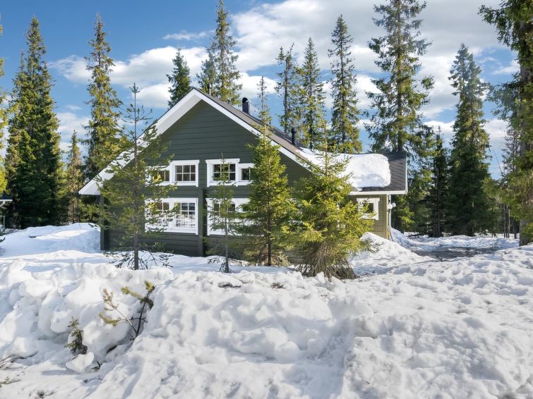 Ferienhaus Otsonpesä