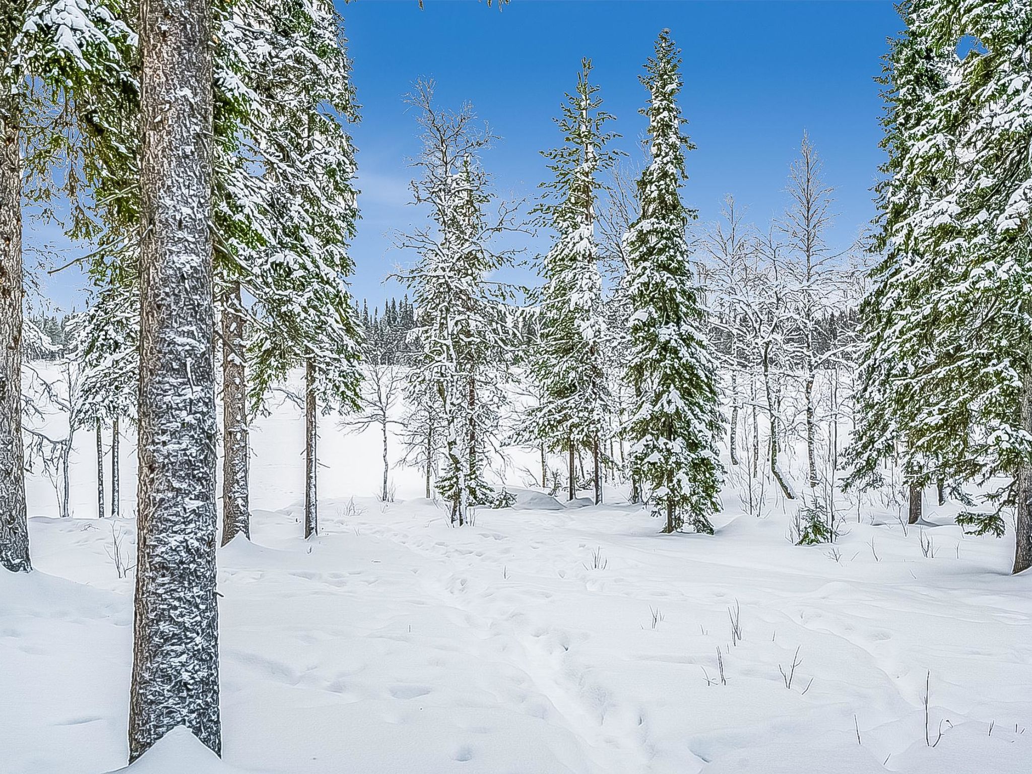 Photo of Seitsemän savua 3