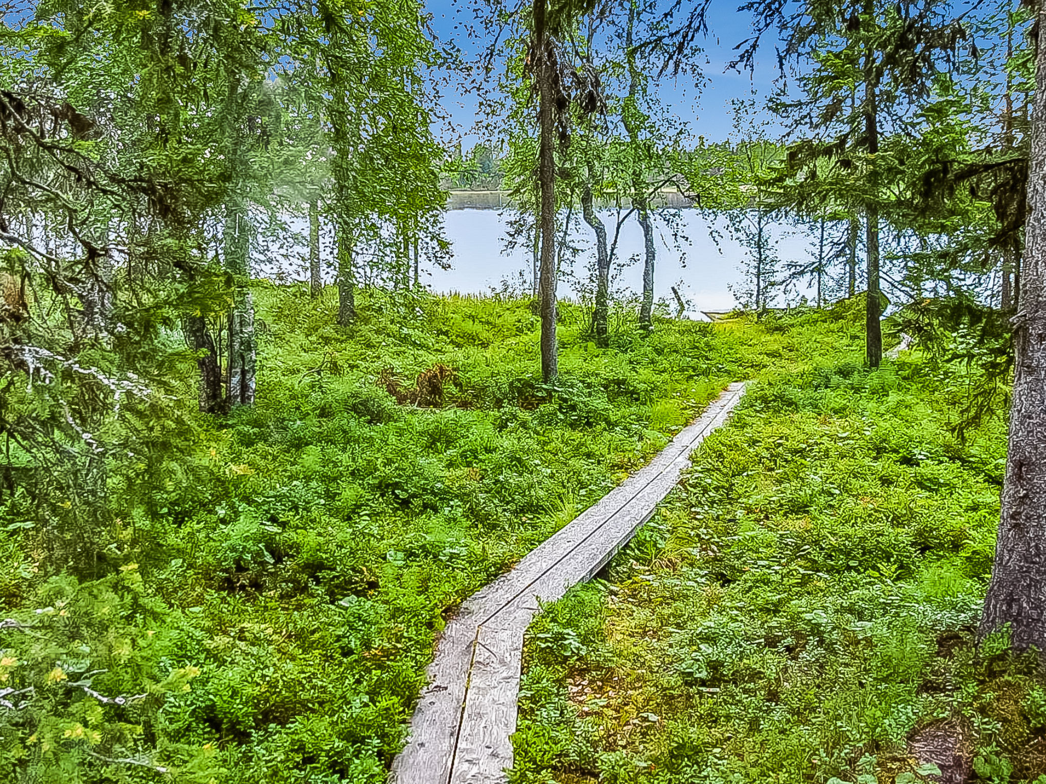Seitsemän savua 3